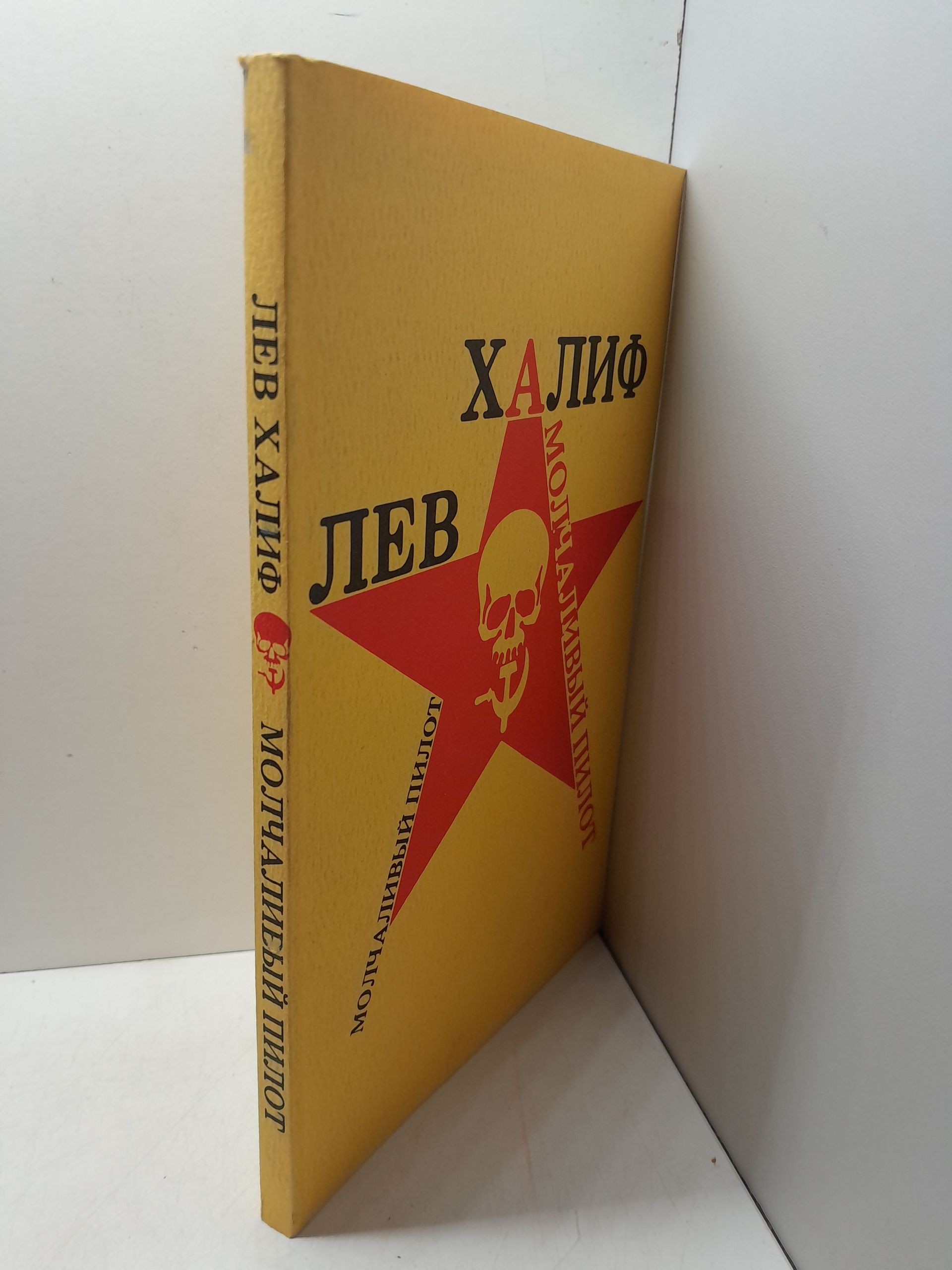 Молчаливый пилот / Лев Халиф — изображение 2