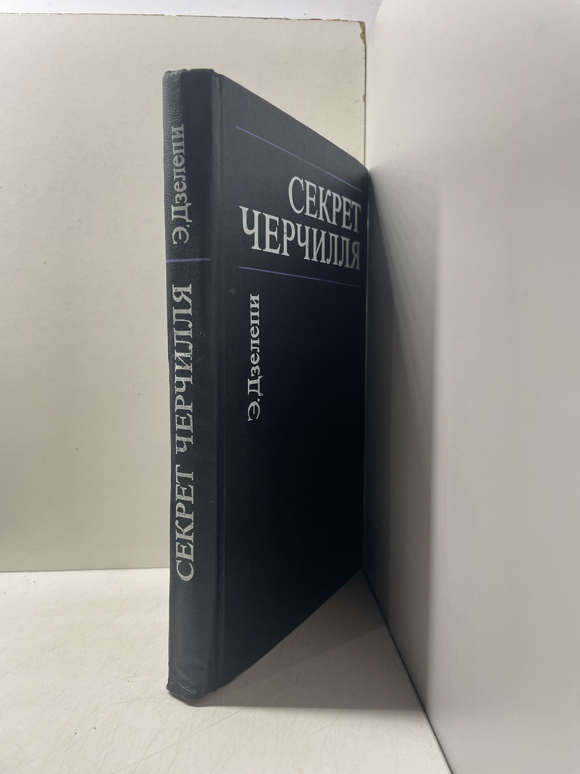Секрет Черчилля Дзелепи Э. — изображение 2