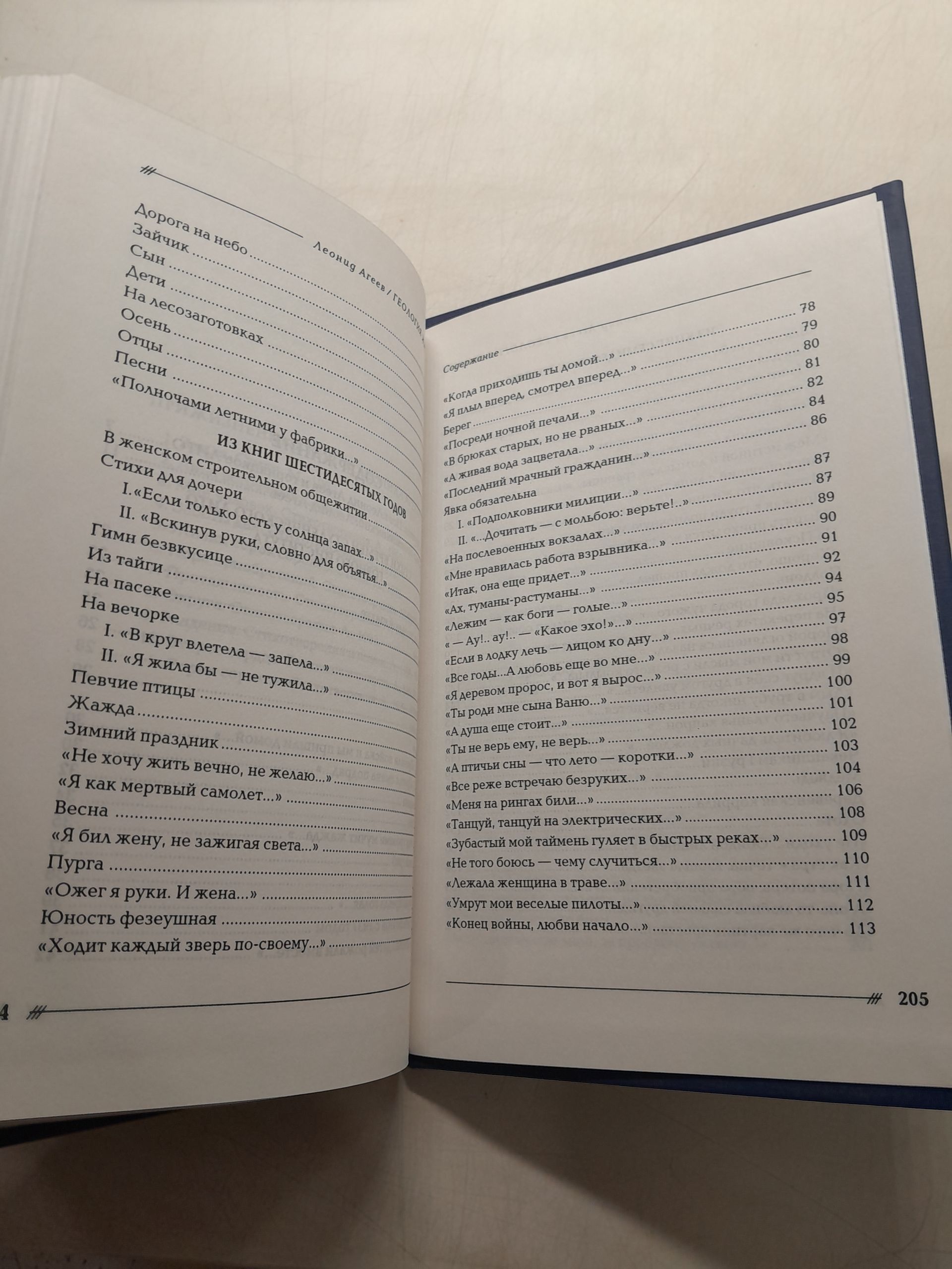 Геология жизни. Избранные стихотворения / Л.М. Агеев — изображение 5