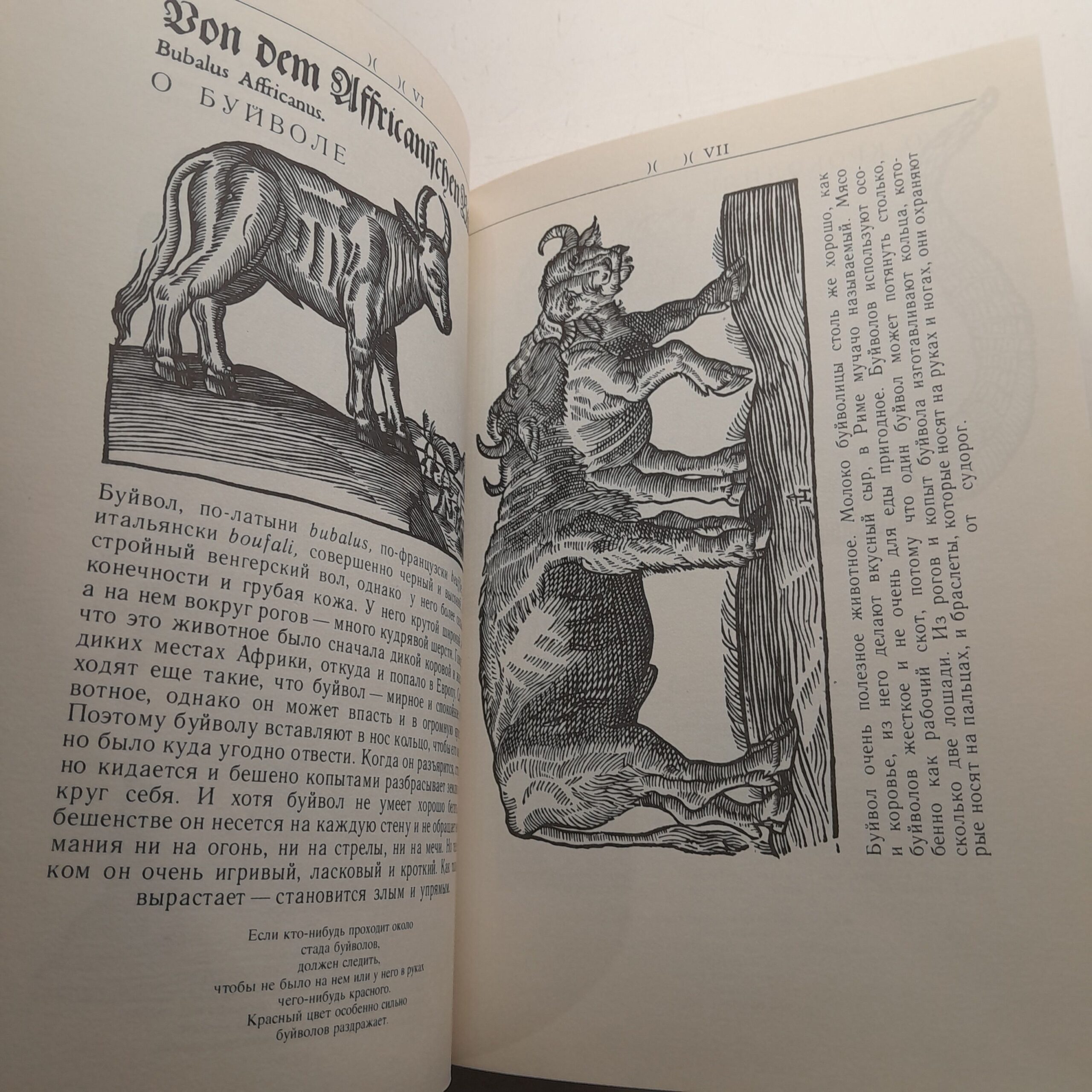 Вагнер Й., Шнайдерова Н. Сафари под Килиманджаро — изображение 6