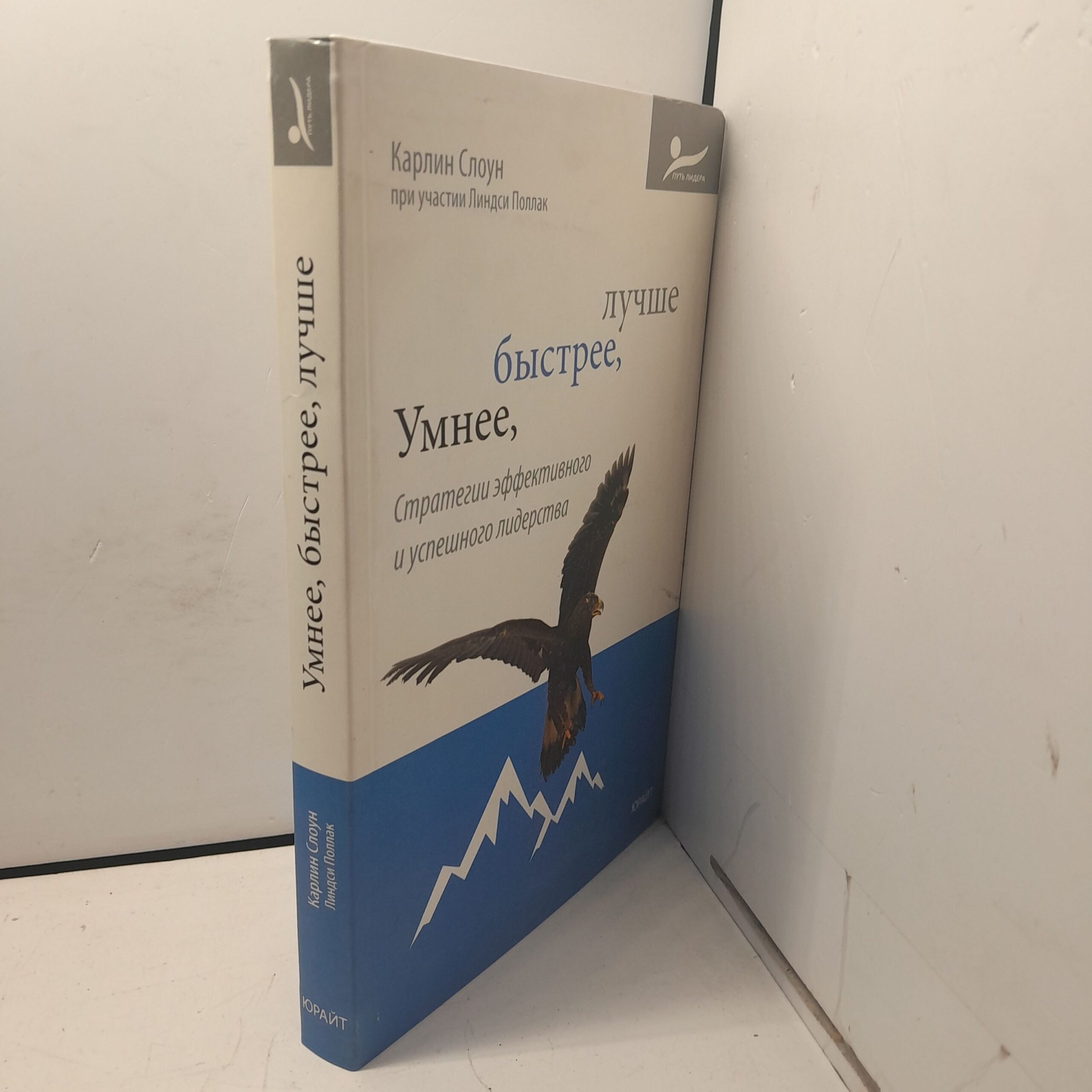 Умнее, быстрее, лучше. Стратегии эффективного и успешного лидерства. / Слоун Карлин — изображение 2