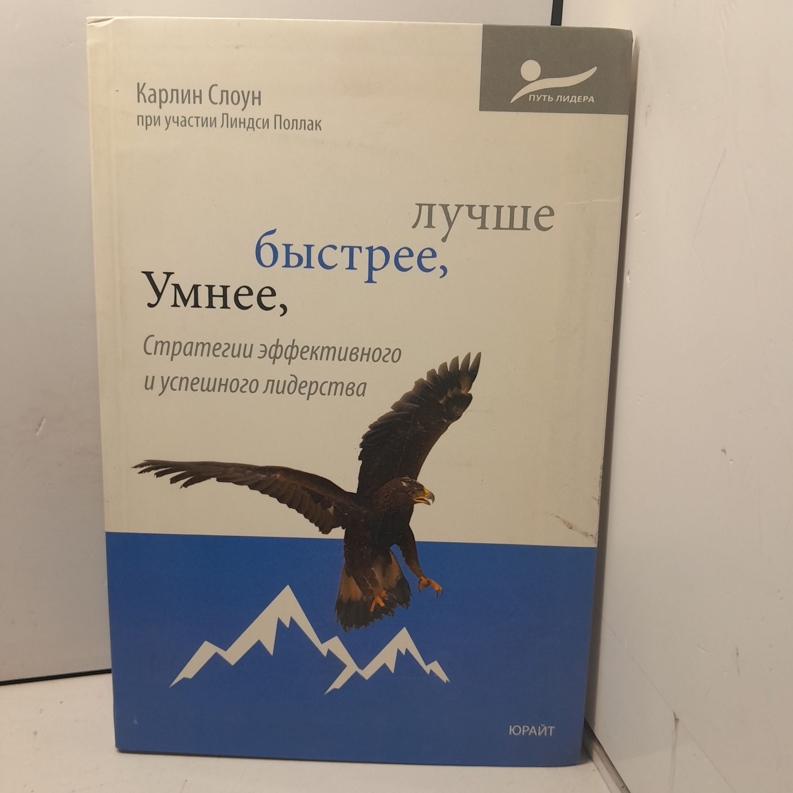 Умнее, быстрее, лучше. Стратегии эффективного и успешного лидерства. / Слоун Карлин
