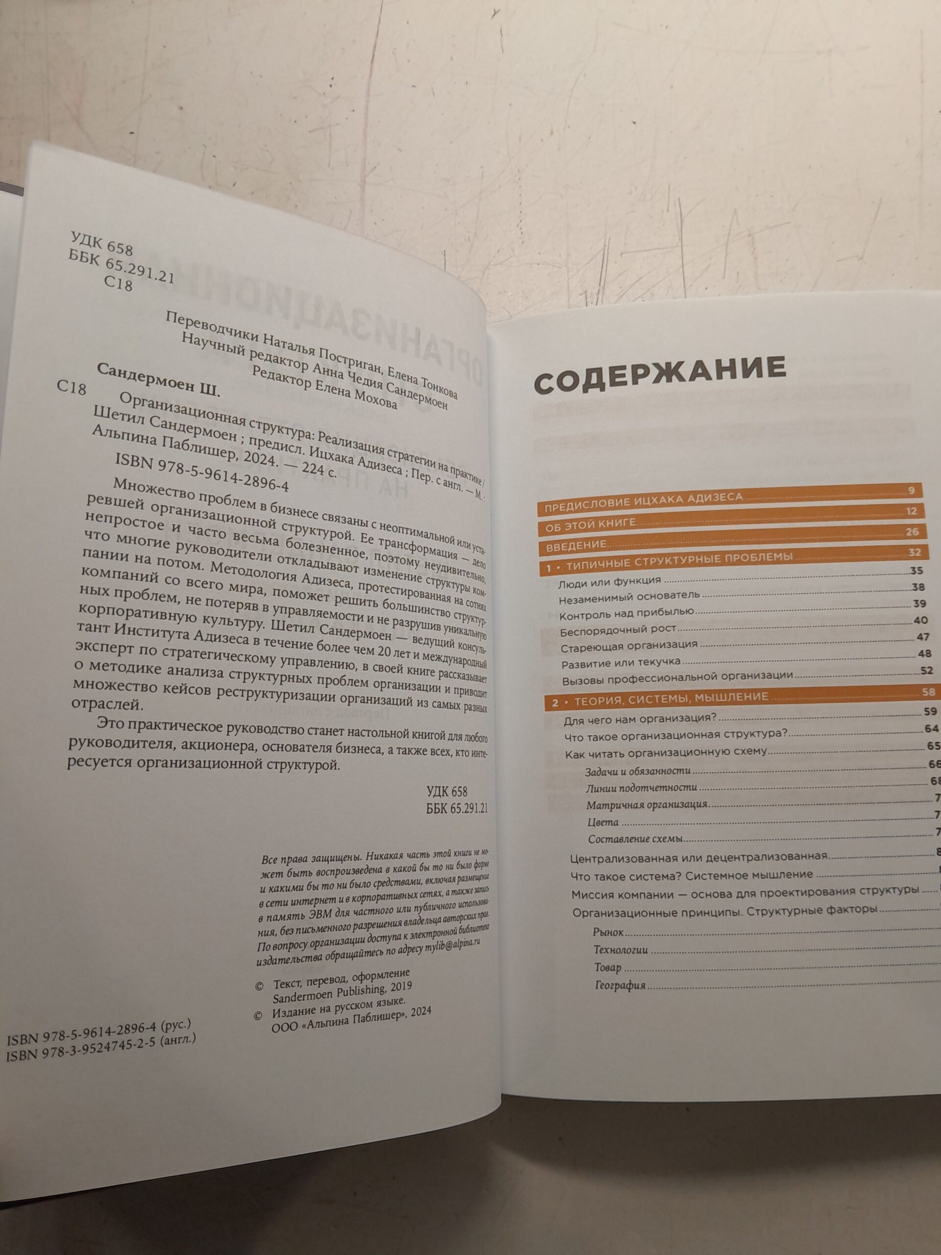Организационная структура: Реализация стратегии на практике / Сандермоен Шетил — изображение 3