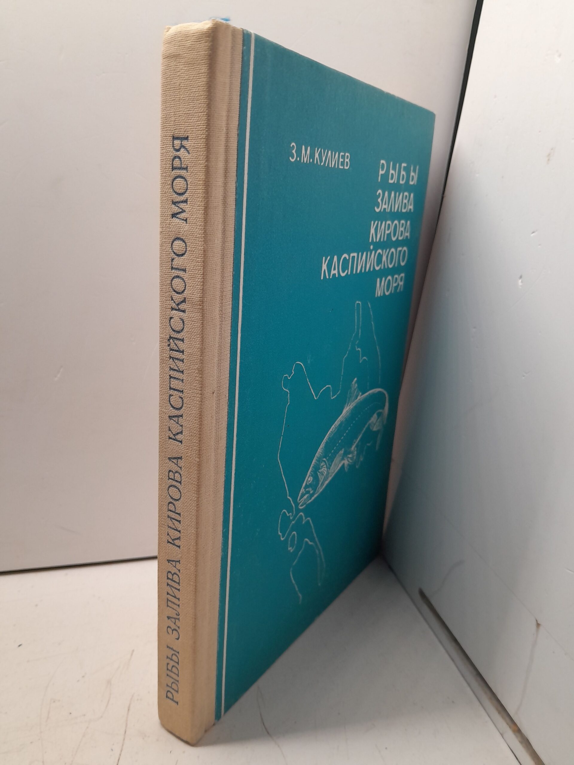 Рыбы залива Кирова Каспийского моря / З.М. Кулиев — изображение 2