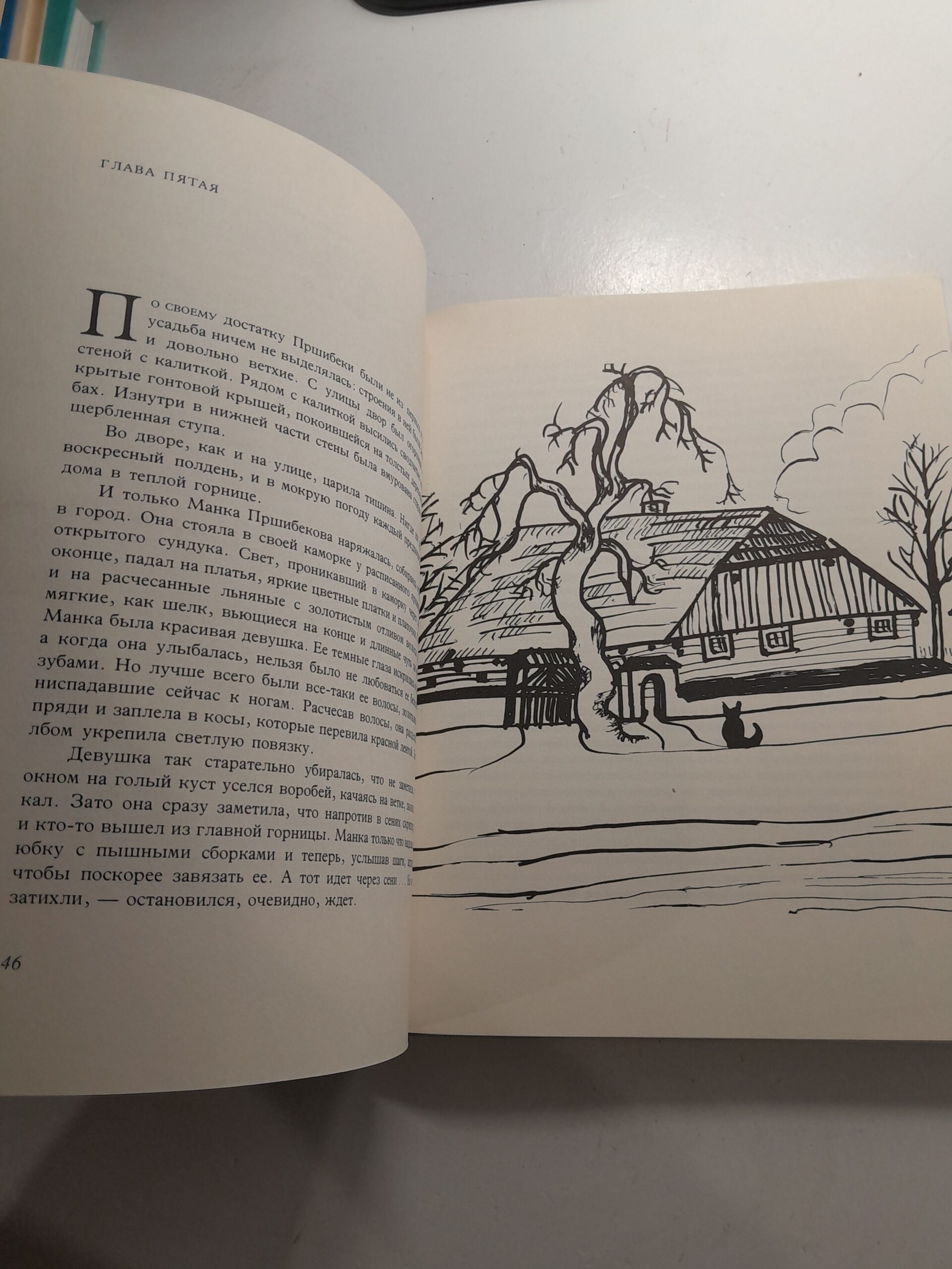 Псоглавцы. Историческая картина / Алоис Ирасек — изображение 5