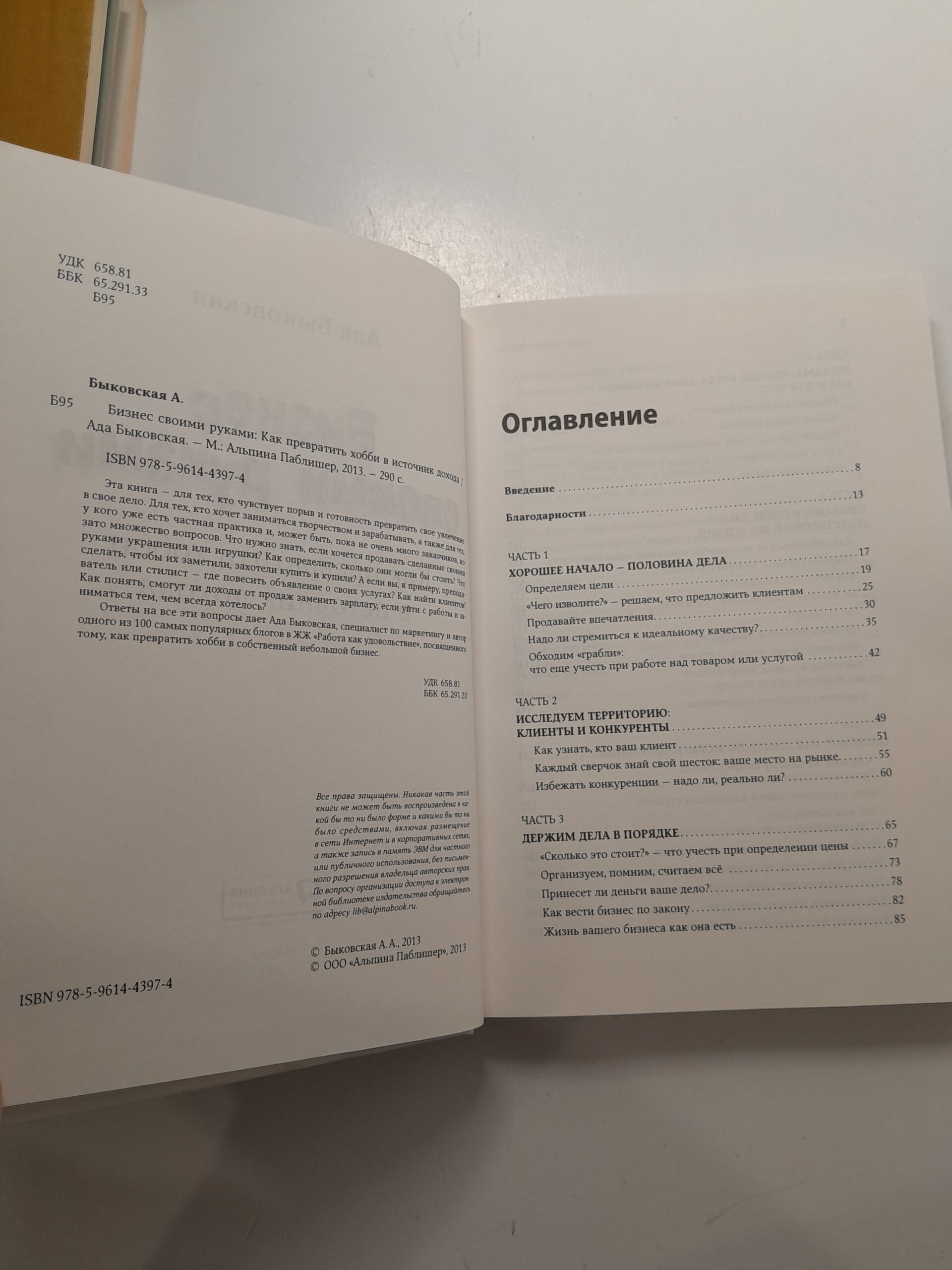 Бизнес своими руками: Как превратить хобби в источник дохода / Быковская Ада — изображение 3