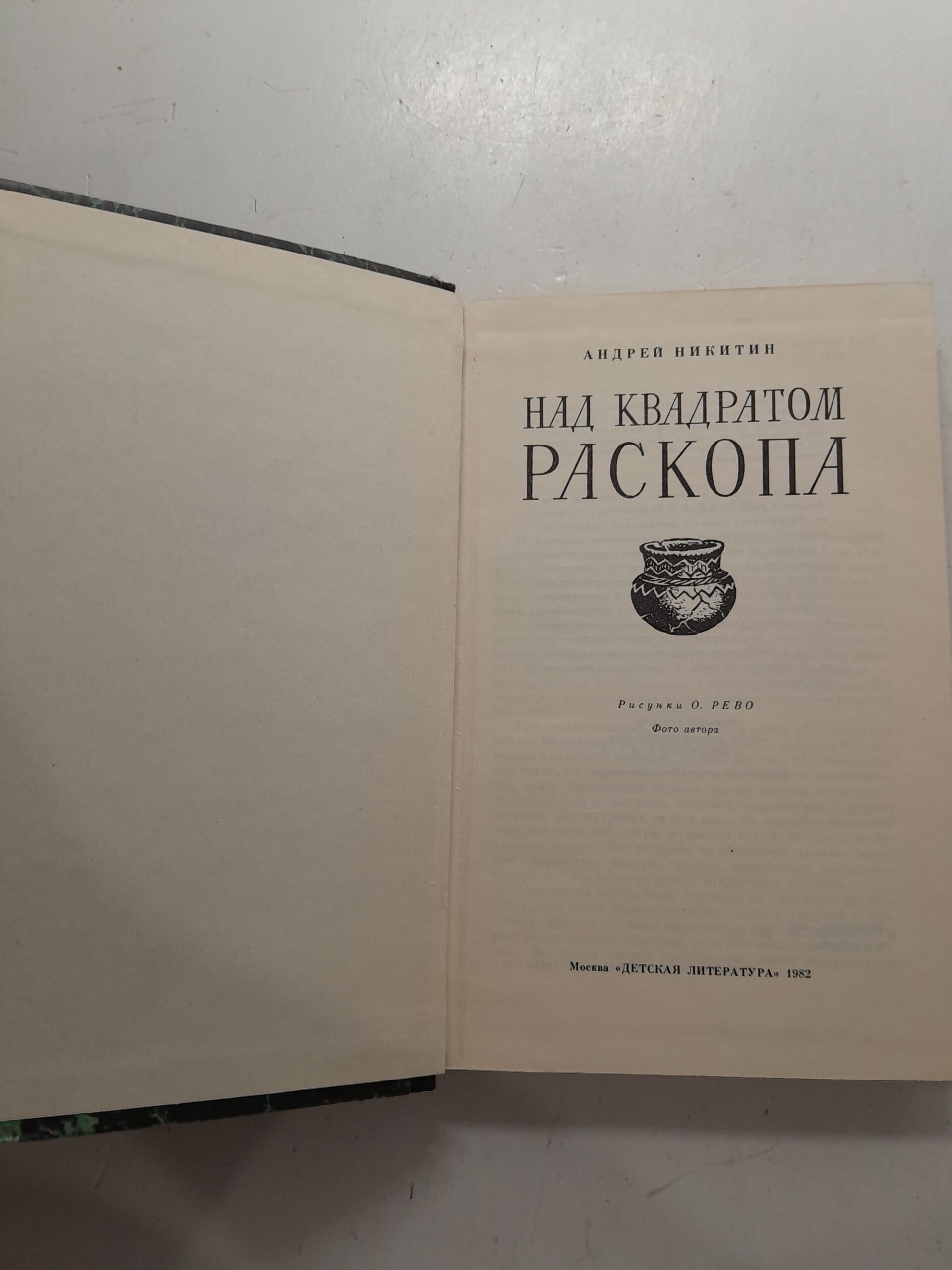 Над квадратом раскопа / Андрей Никитин — изображение 3