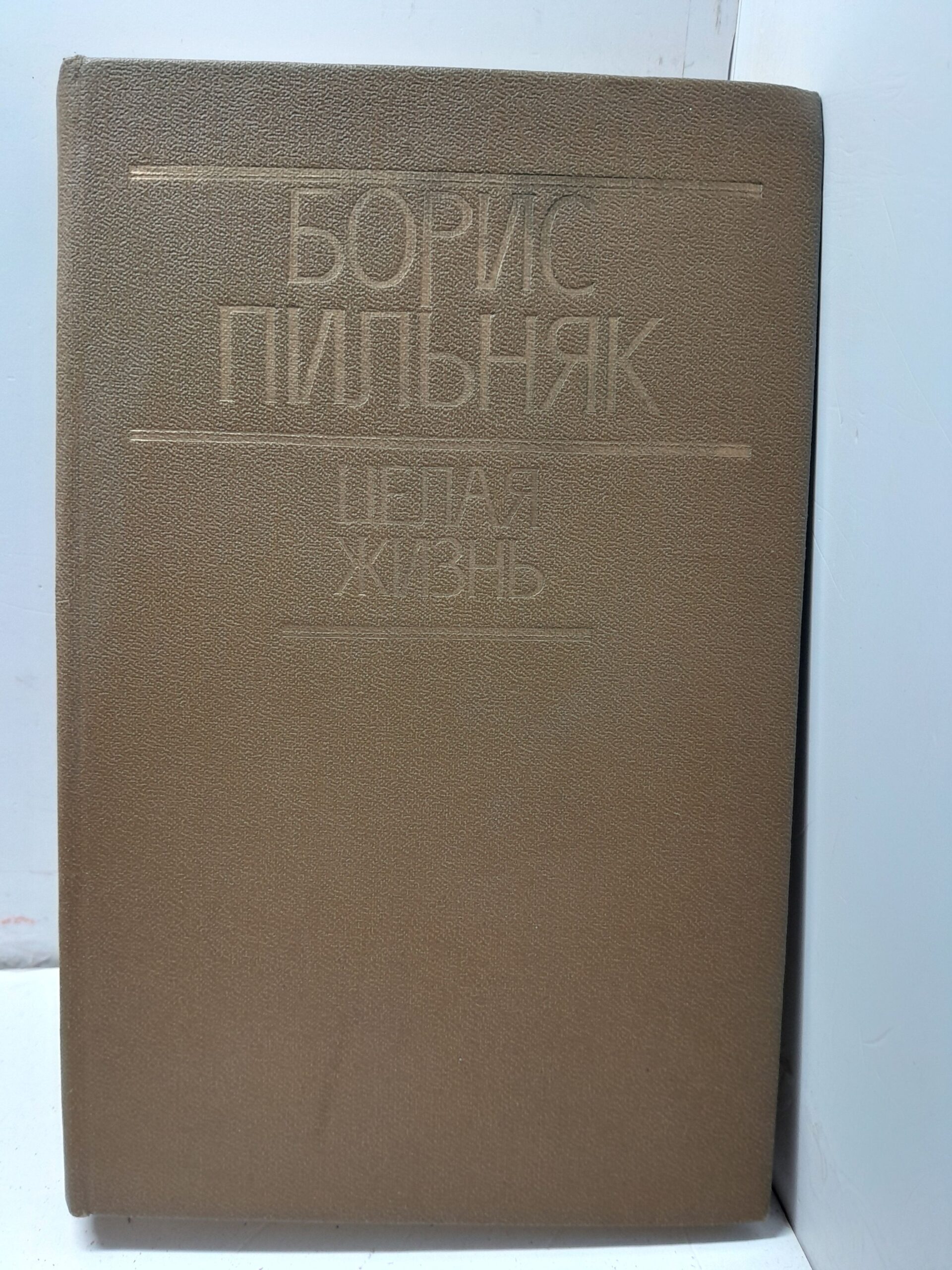 Целая жизнь / Пильняк Борис