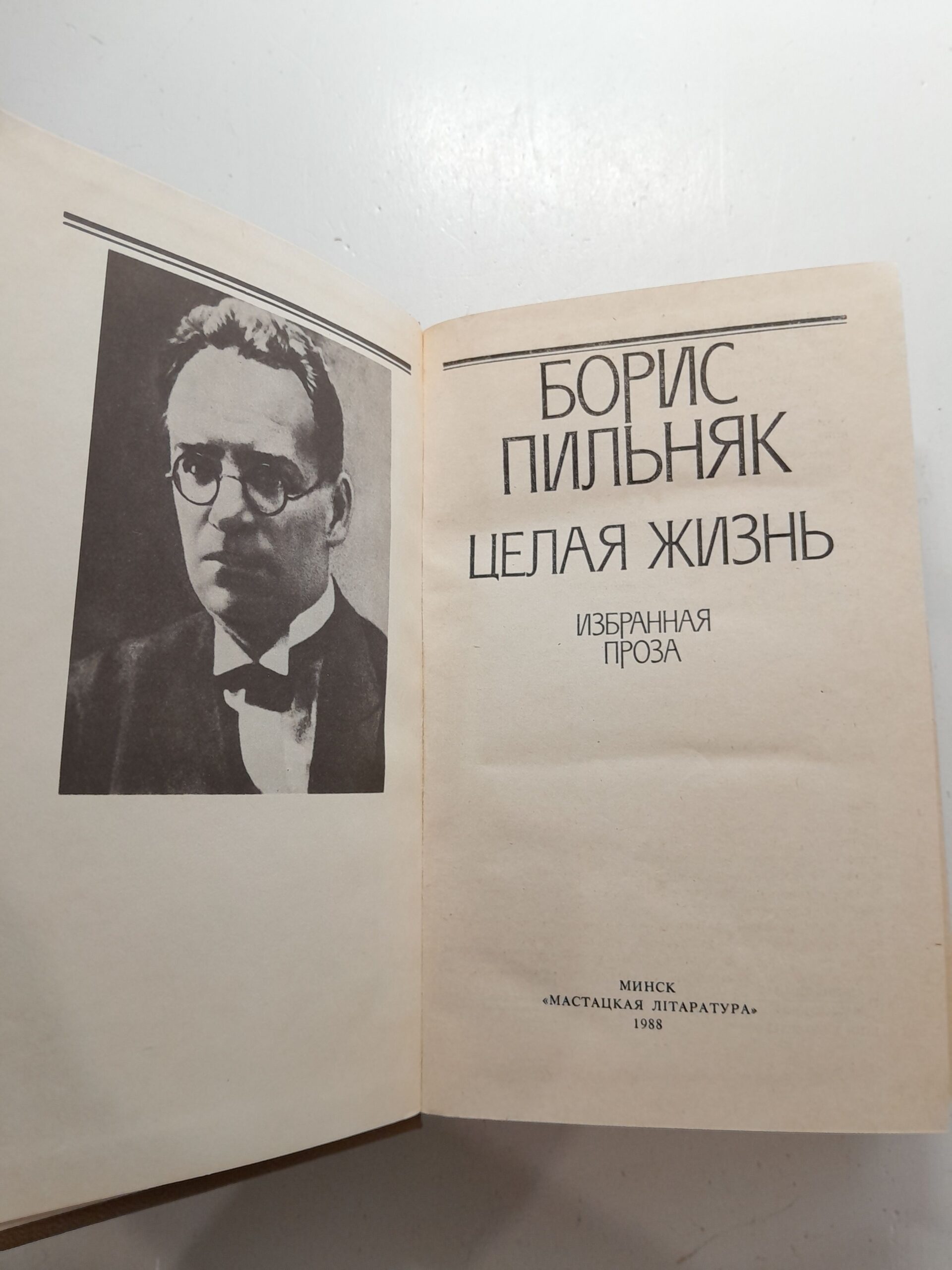 Целая жизнь / Пильняк Борис — изображение 4