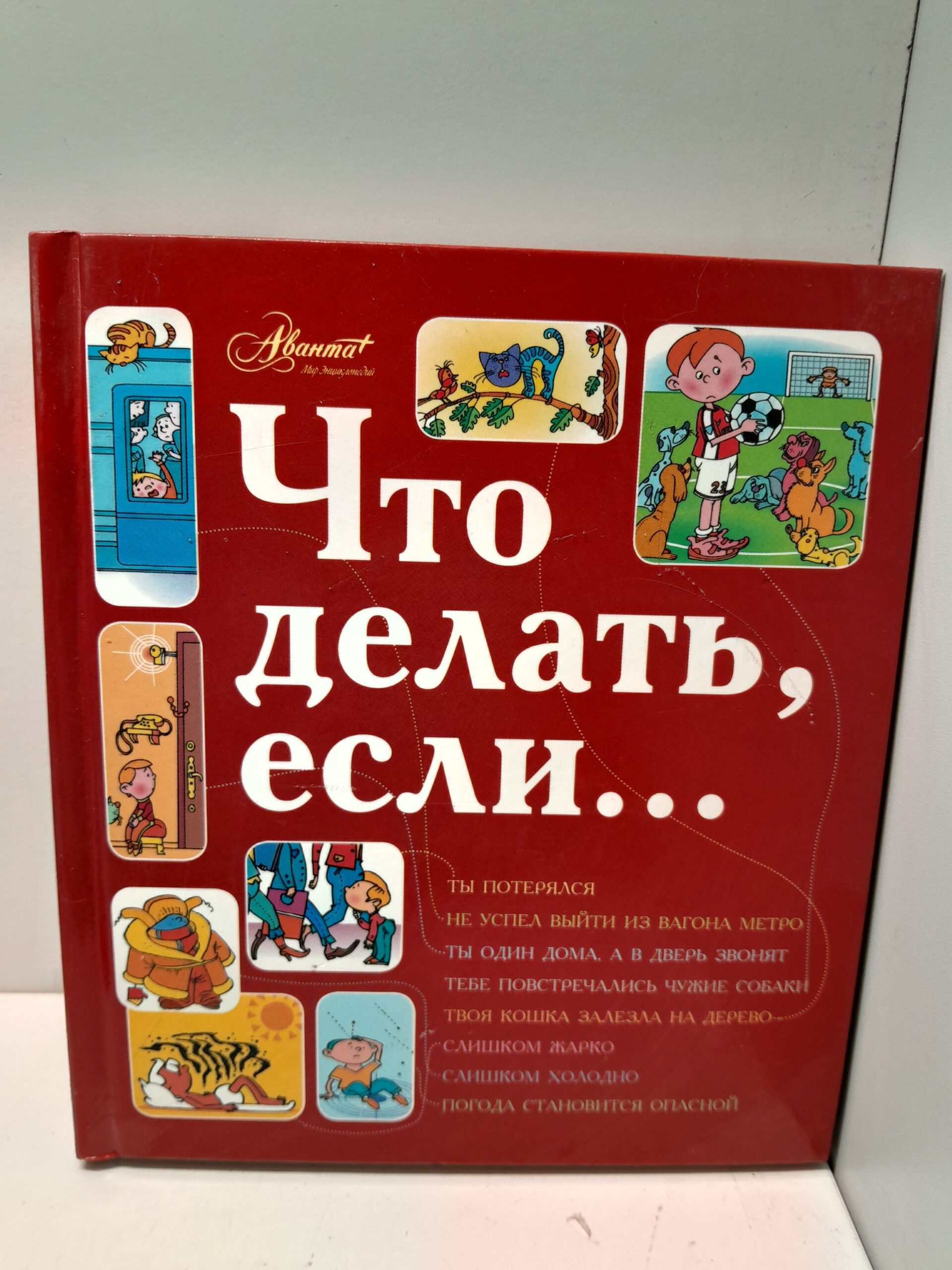 Что делать, если... / Петрановская Людмила