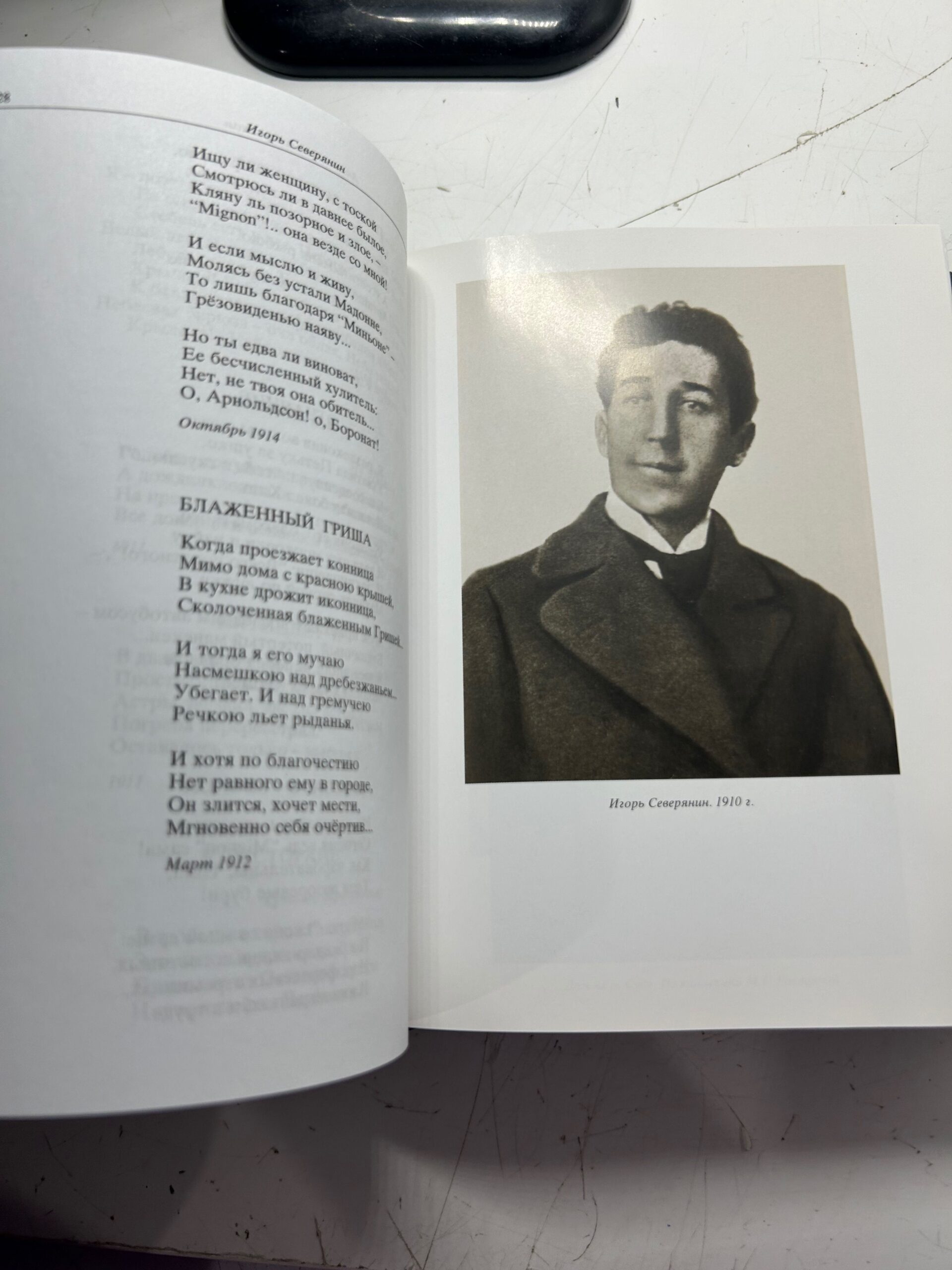 Громокипящий кубок. Ананасы в шампанском. Соловей. Классические розы / Северянин И. — изображение 7