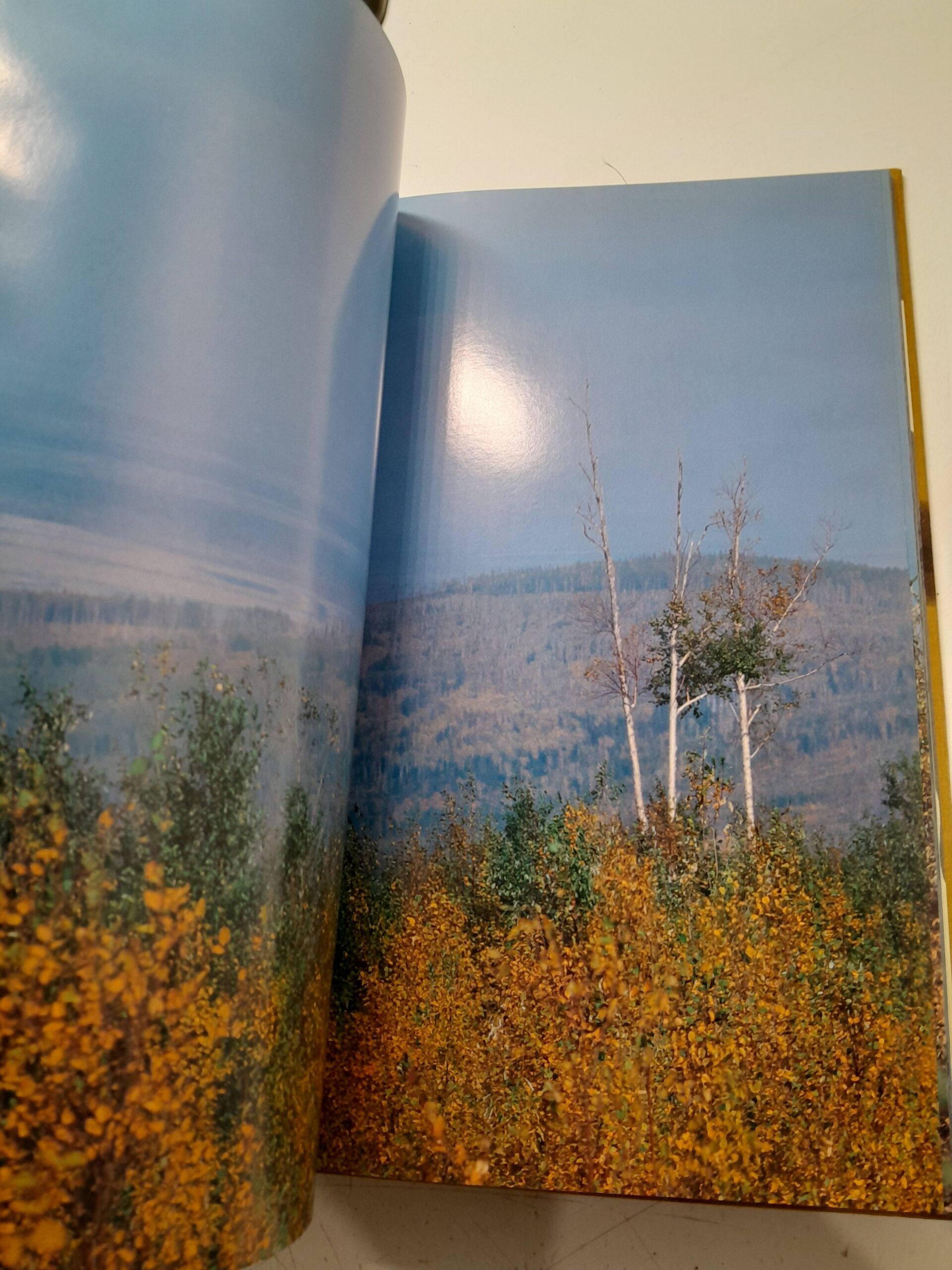 Амур. Лирический фоторассказ о своеобразной красоте и неповторимости великой дальневосточной реки — изображение 4