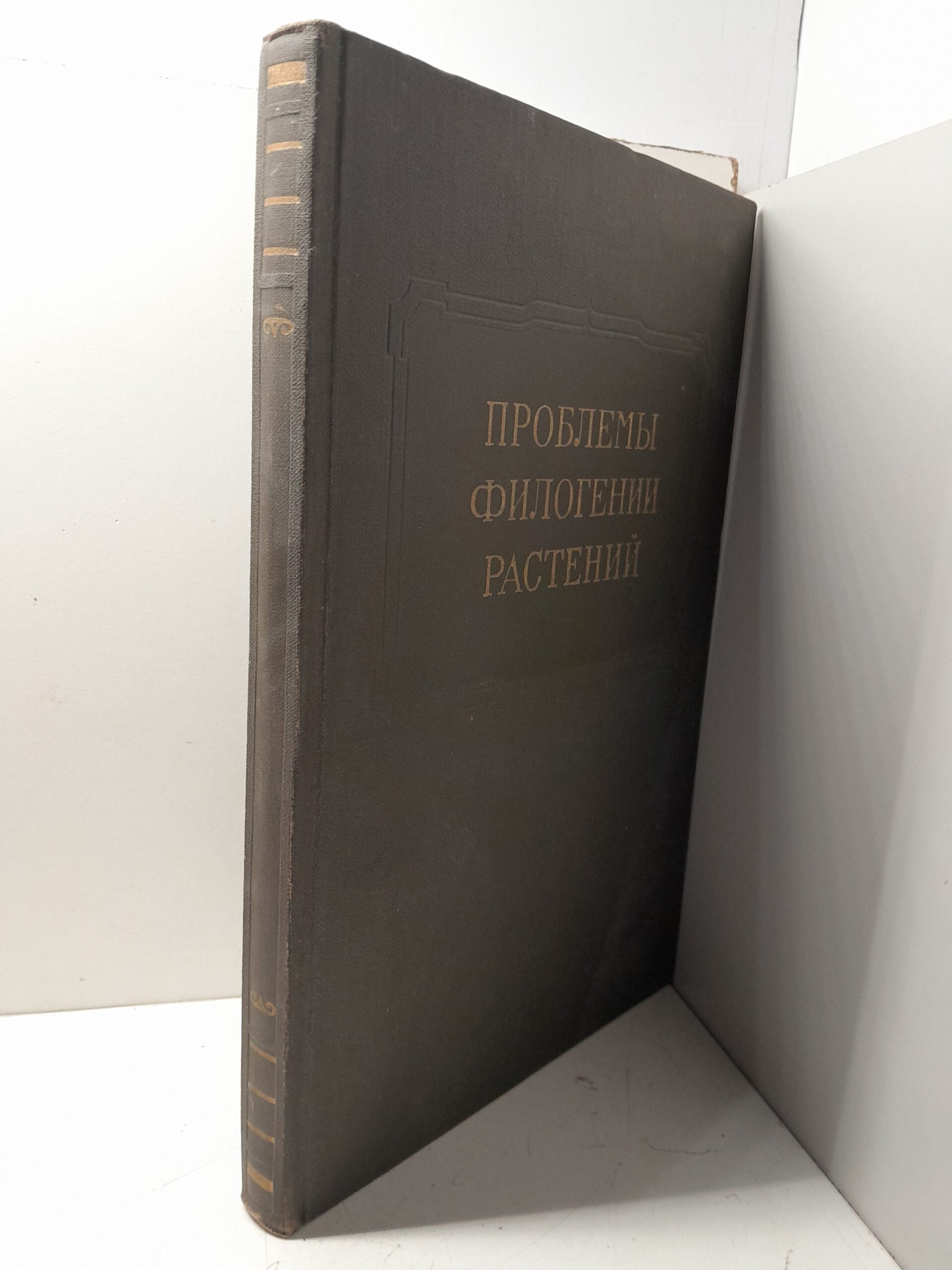 Проблемы филогении растений — изображение 2