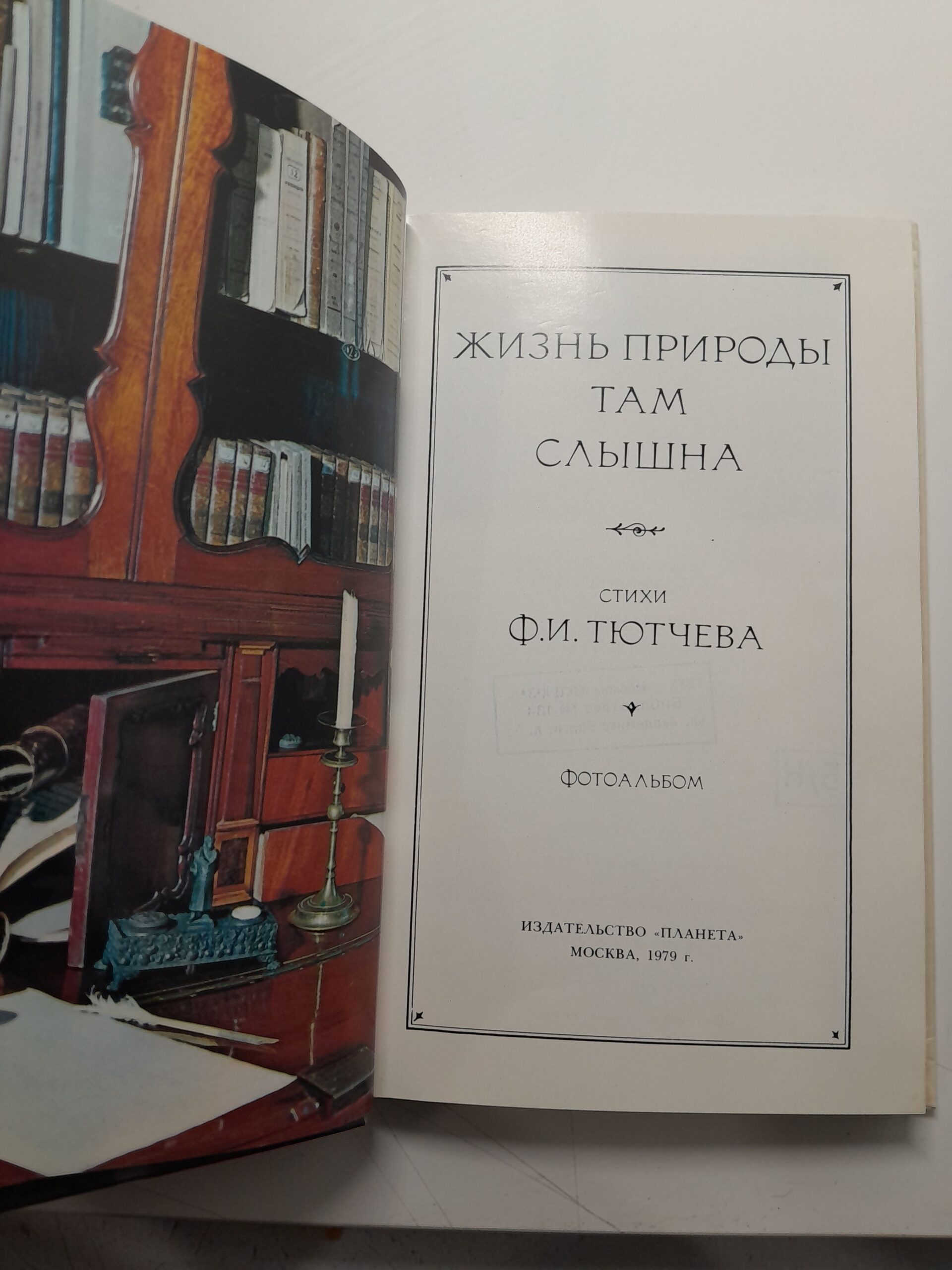 Жизнь природы там слышна. Стихи Ф.И. Тютчева — изображение 3