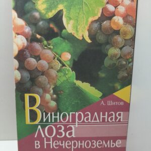 Виноградная лоза в Нечерноземье / А.М. Шитов