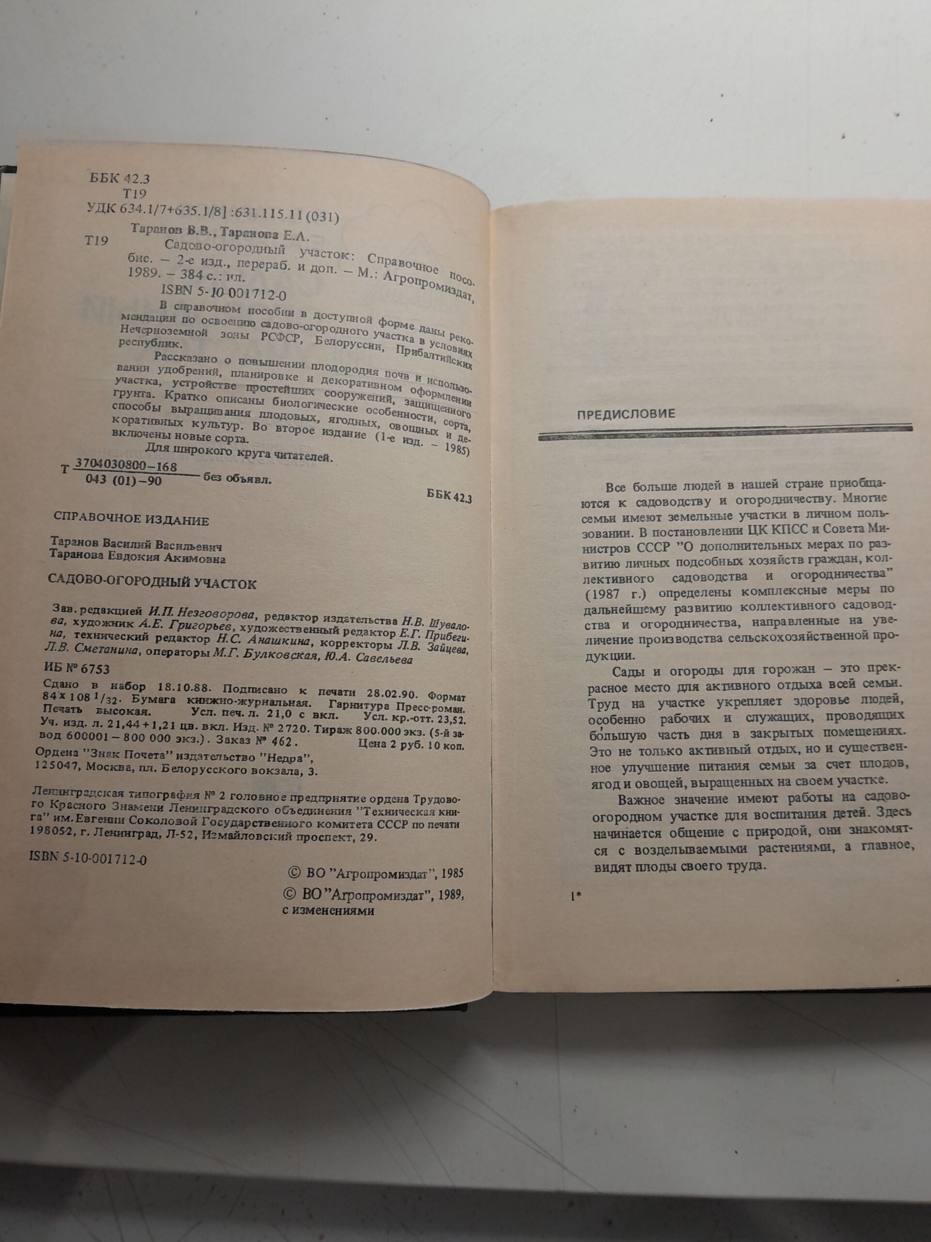 Садово-огородный участок / Таранова Евдокия, Таранов Василий — изображение 3