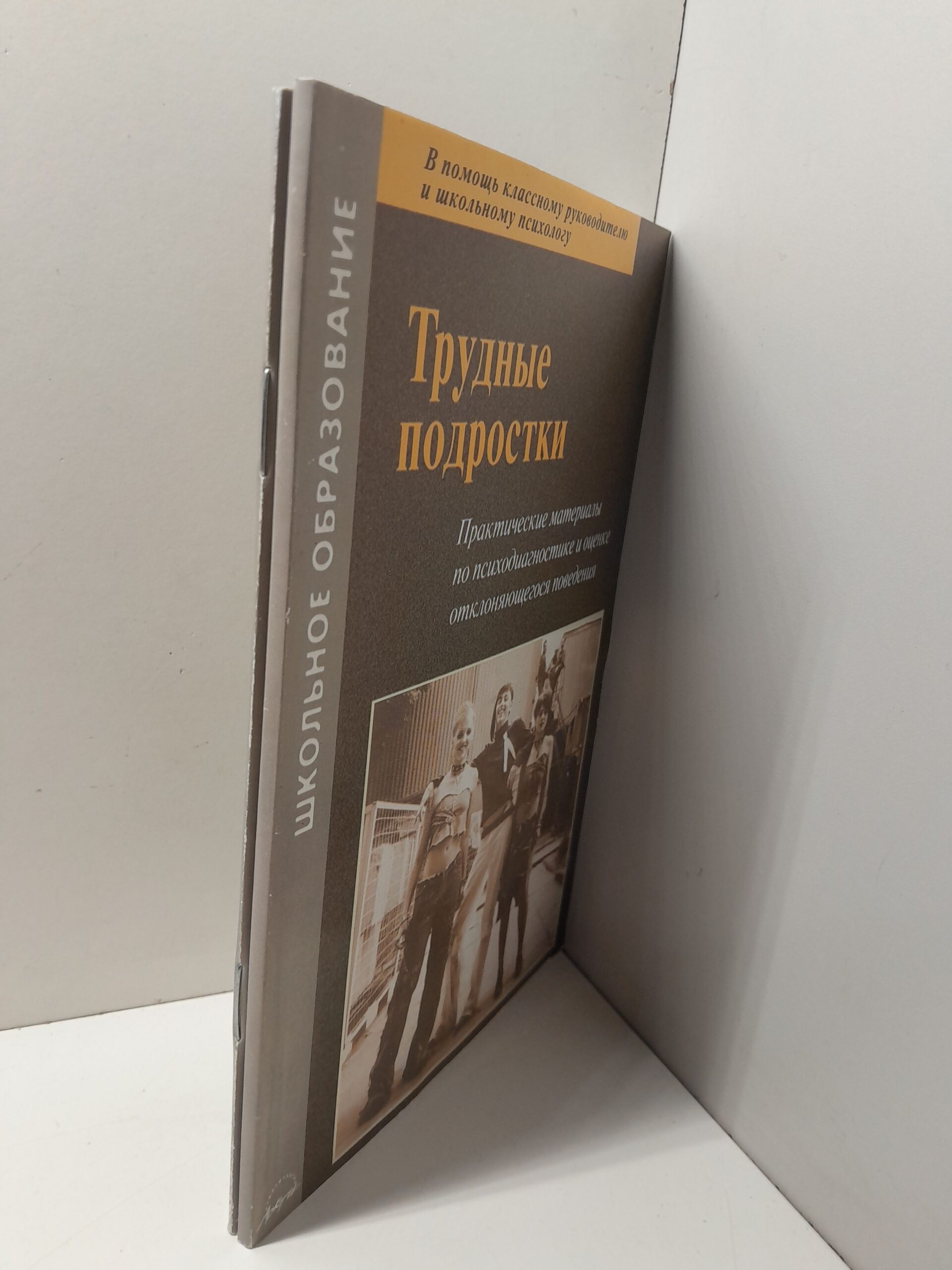 Трудные подростки. Подростковый возраст - все ли в норме? / В.И. Екимова — изображение 2