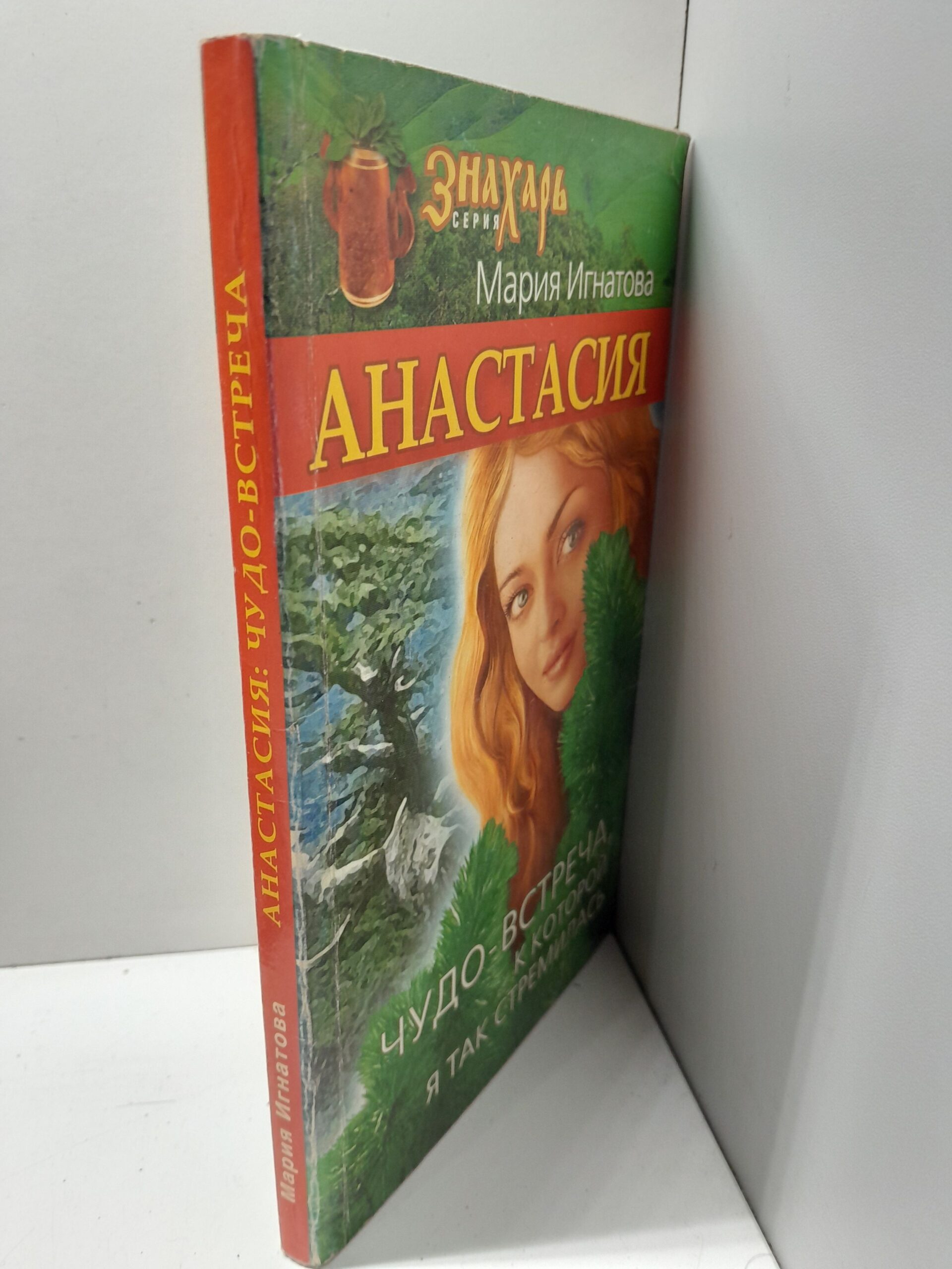 Анастасия. Чудо-встреча, к которой я так стремилась / Игнатова Мария — изображение 3