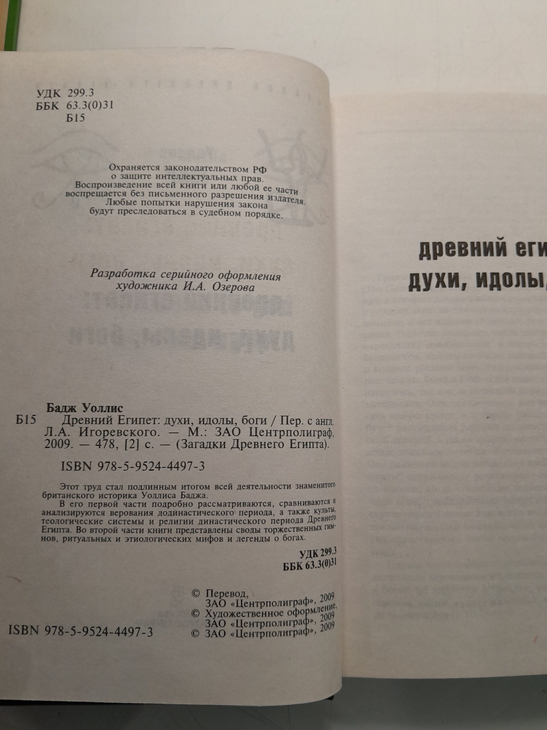 Древний Египет: духи, идолы, боги / Бадж Эрнст Альфред Уоллис — изображение 3