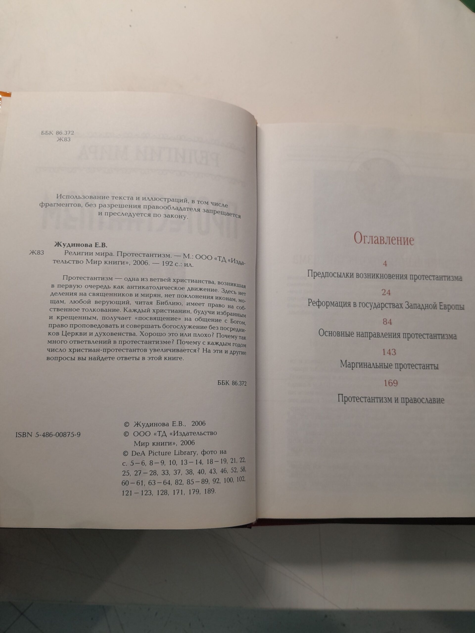 Религии мира: Протестантизм. Католицизм. Религии Индии, Буддизм, Шаманизм, Православие, Ислам, Религии Дальнего Востока(комплект из 8 книг) / Жудинова Елена — изображение 4