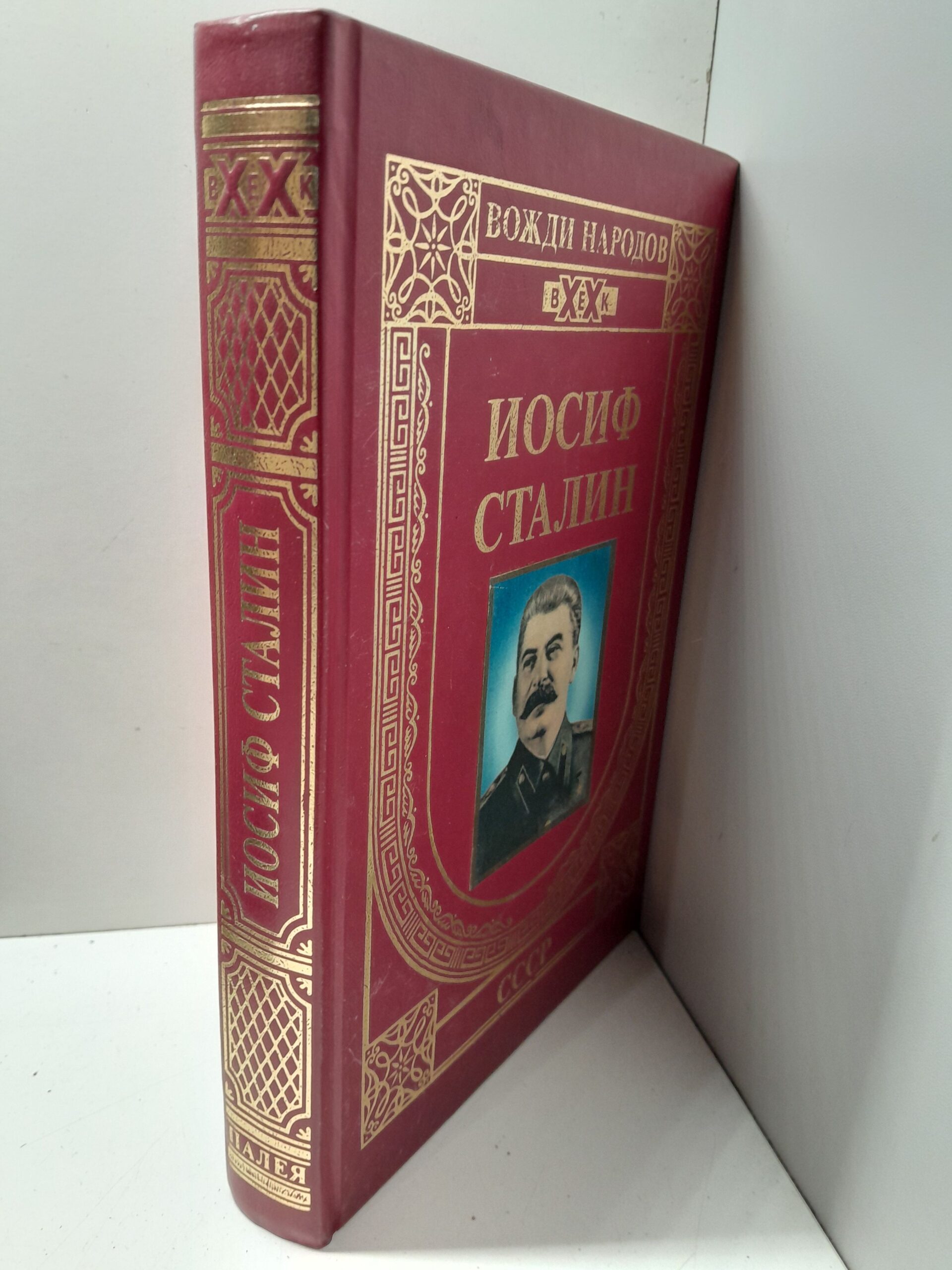 Иосиф Сталин. Создание державы / Карагезов Александр — изображение 2