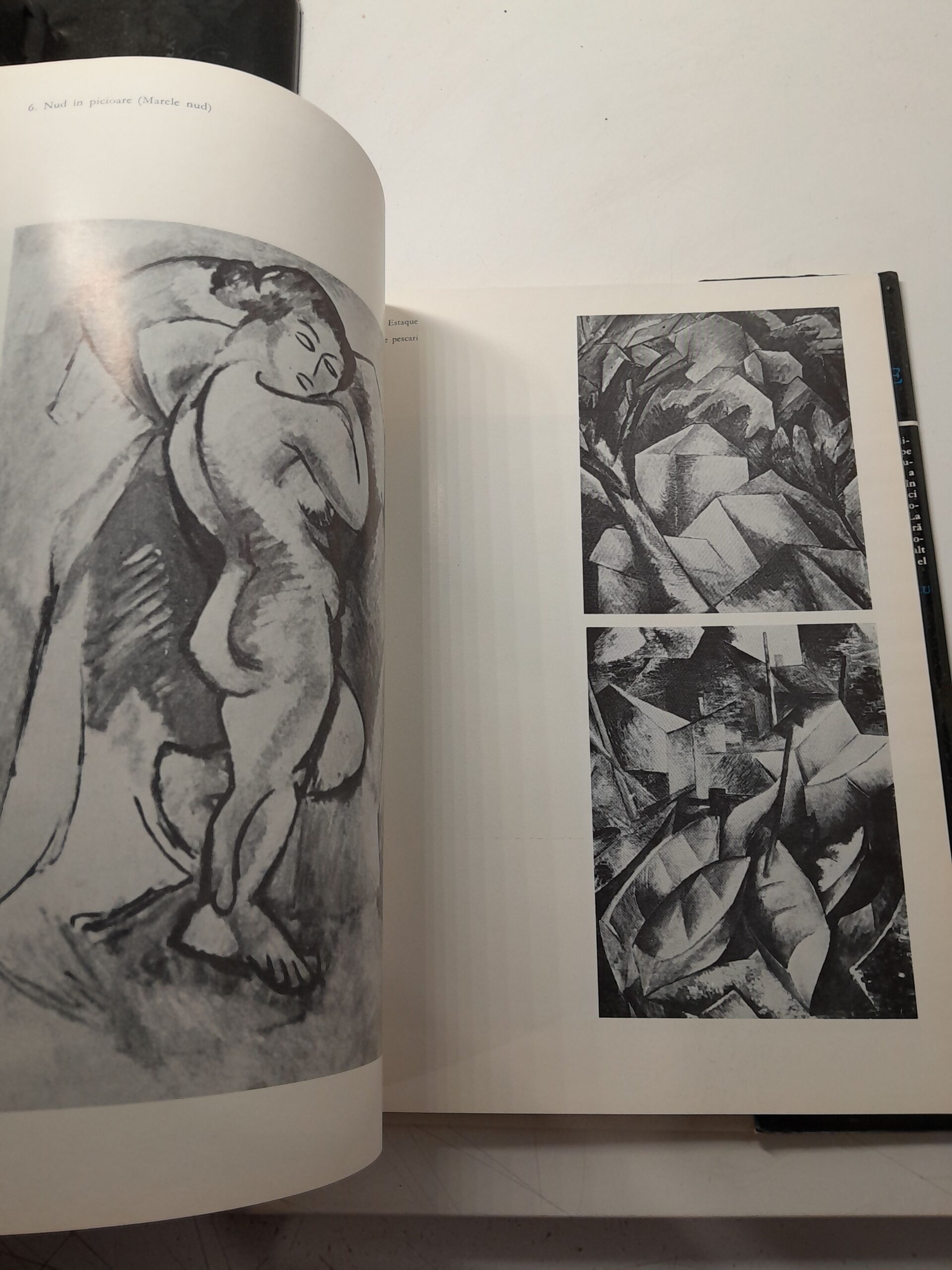 Braque — изображение 5