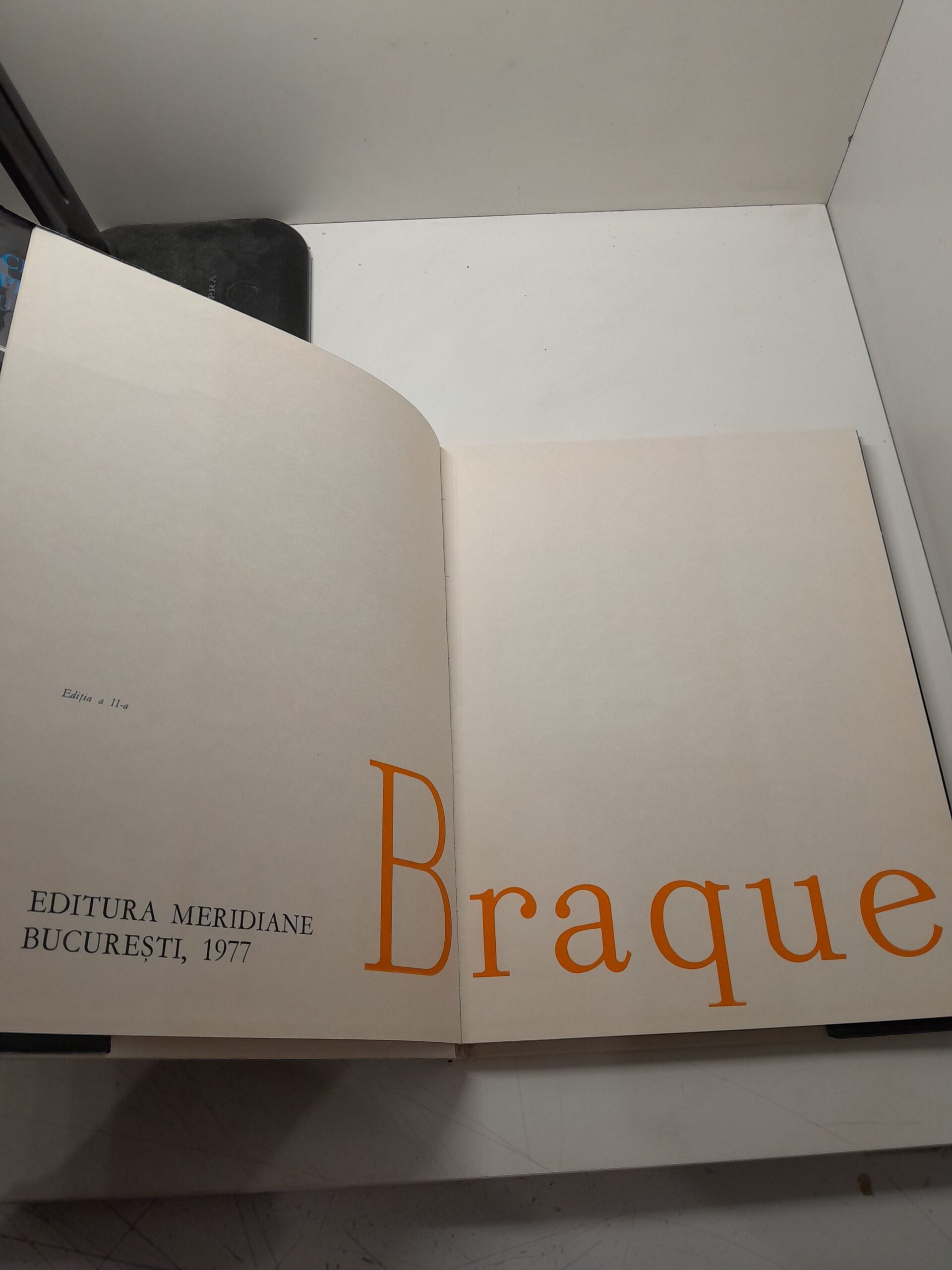 Braque — изображение 3