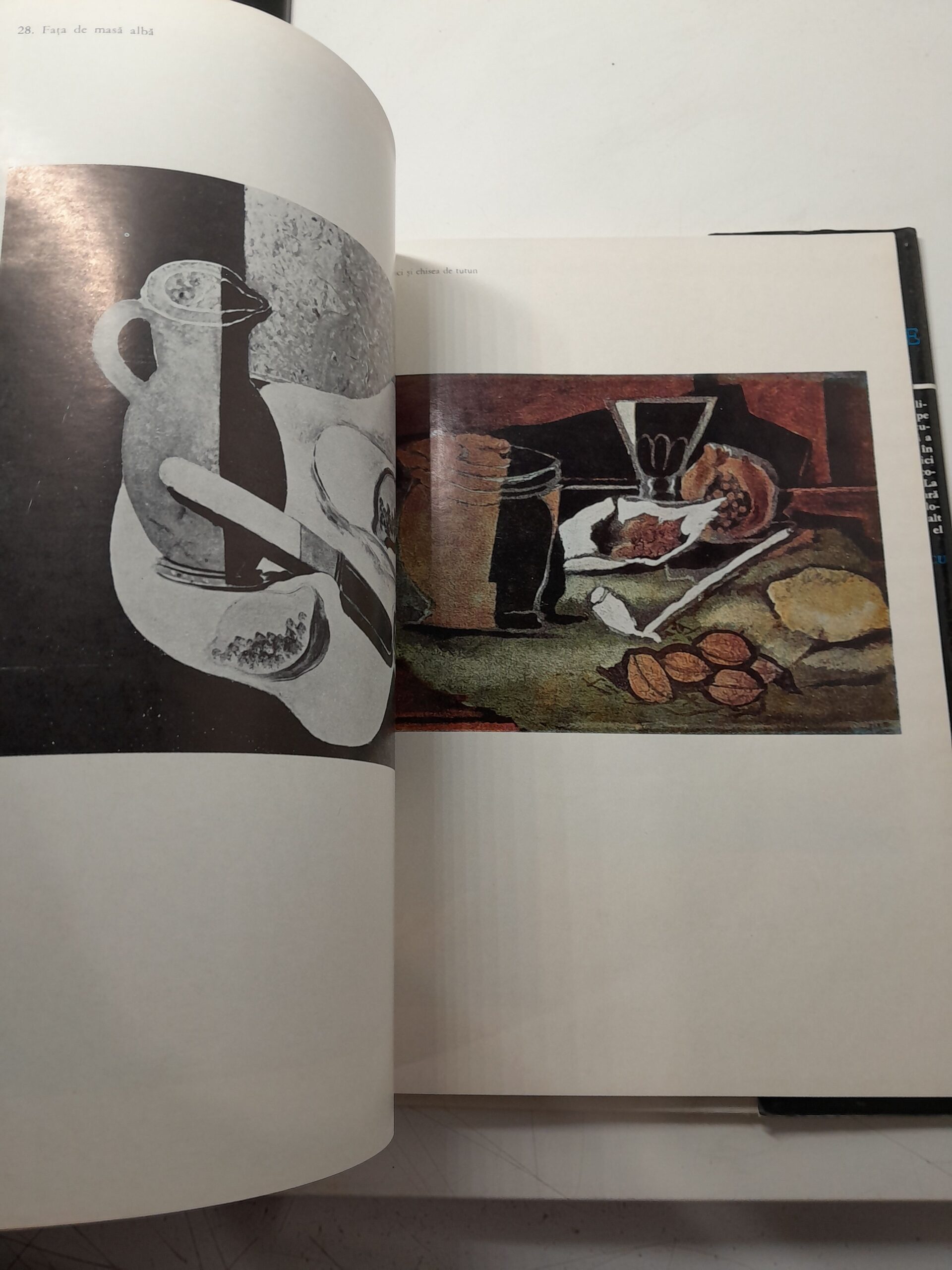 Braque — изображение 4