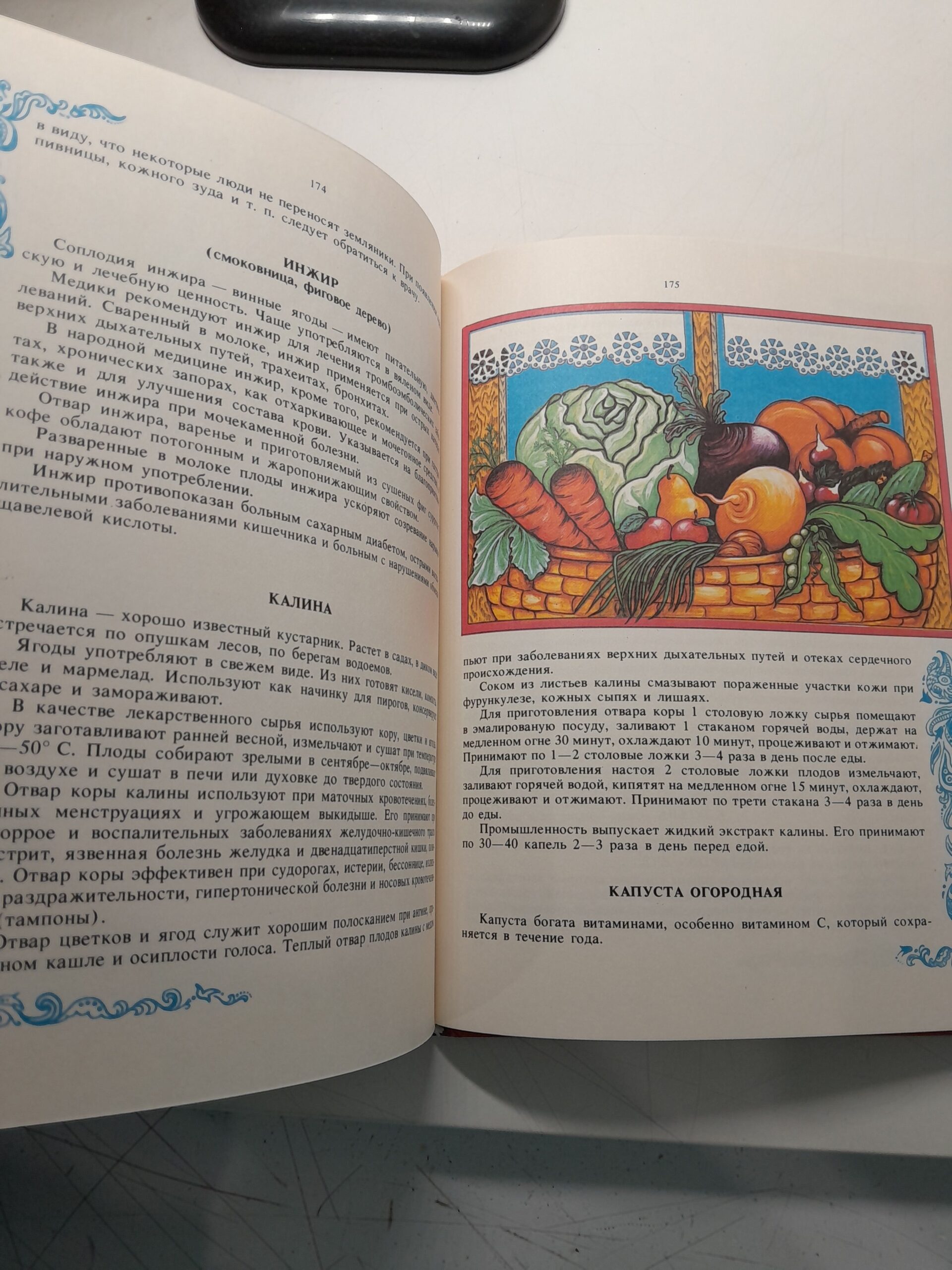 Русский дом / Волгина Т. — изображение 4