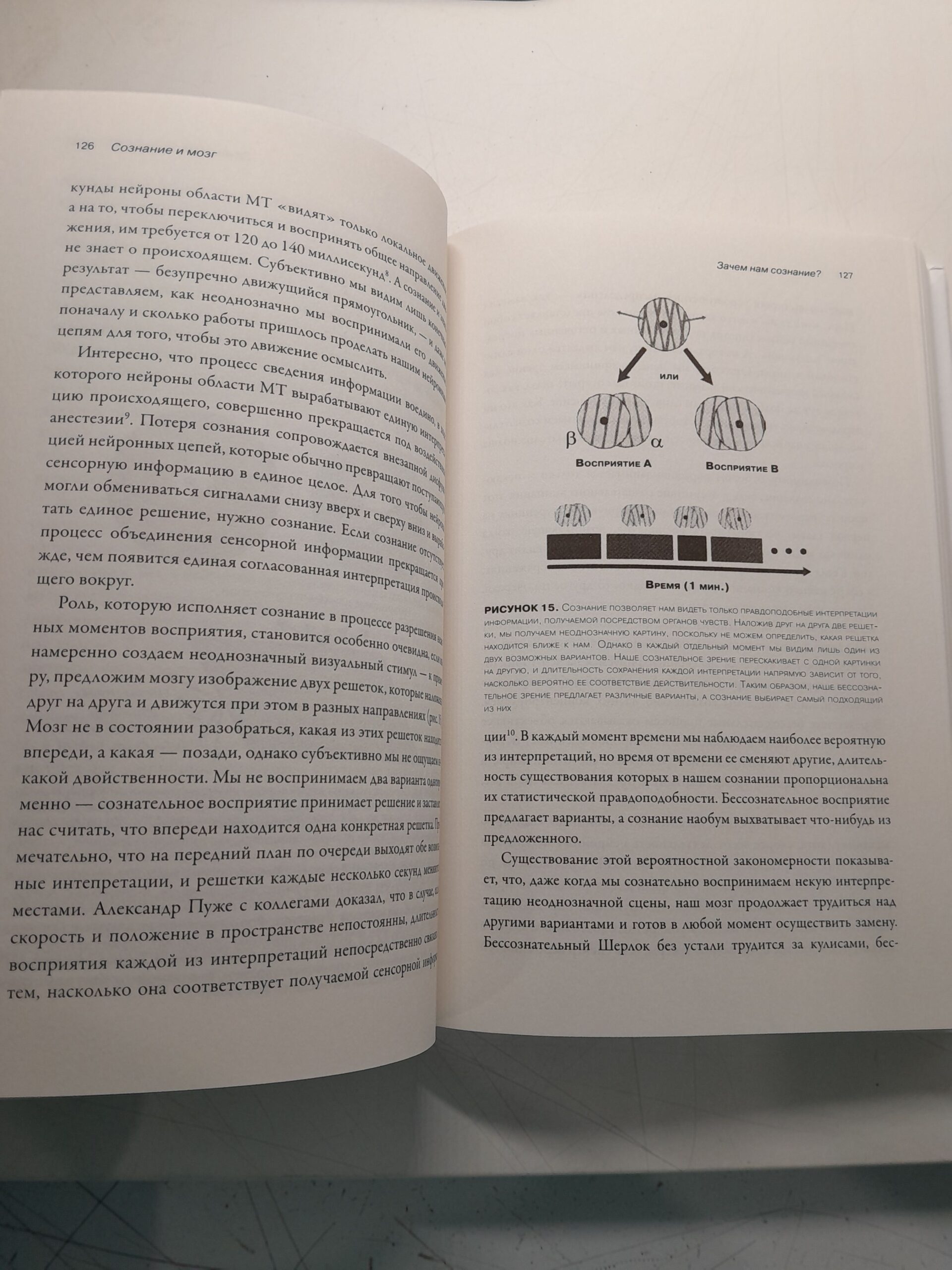 Сознание и мозг. Как мозг кодирует мысли / Деан Станислас — изображение 4
