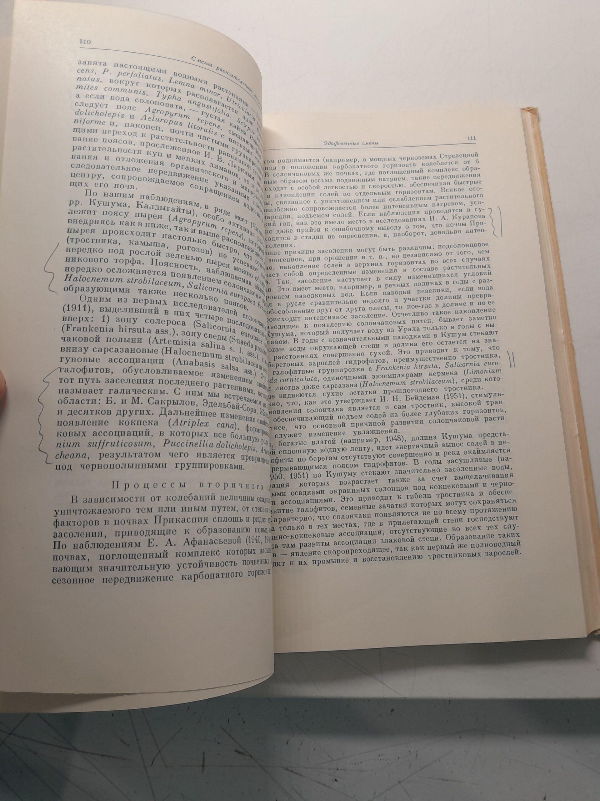 Иванов В.В. / Степи Западного Казахстана в связи с динамикой их покрова — изображение 5