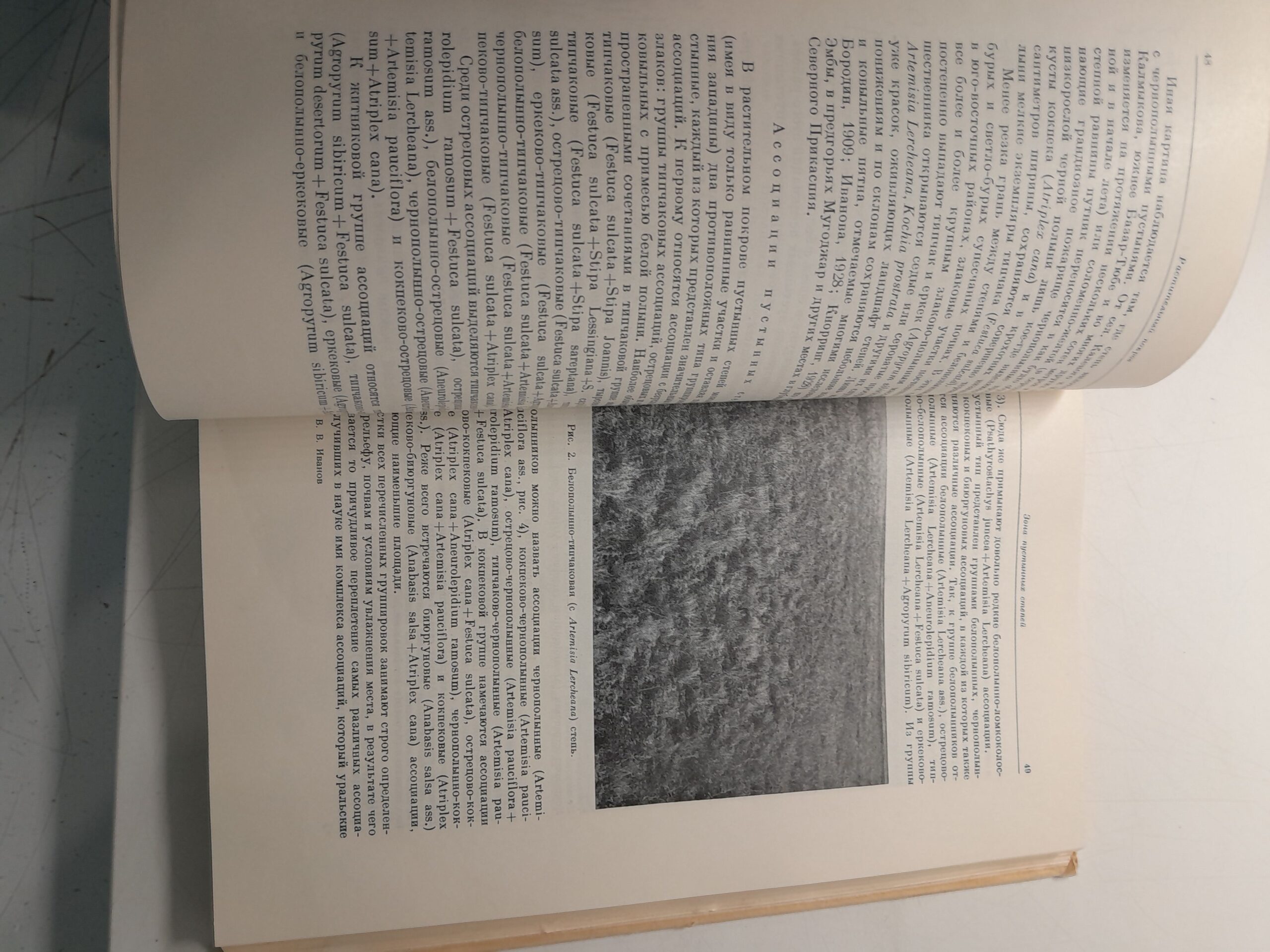 Иванов В.В. / Степи Западного Казахстана в связи с динамикой их покрова — изображение 4