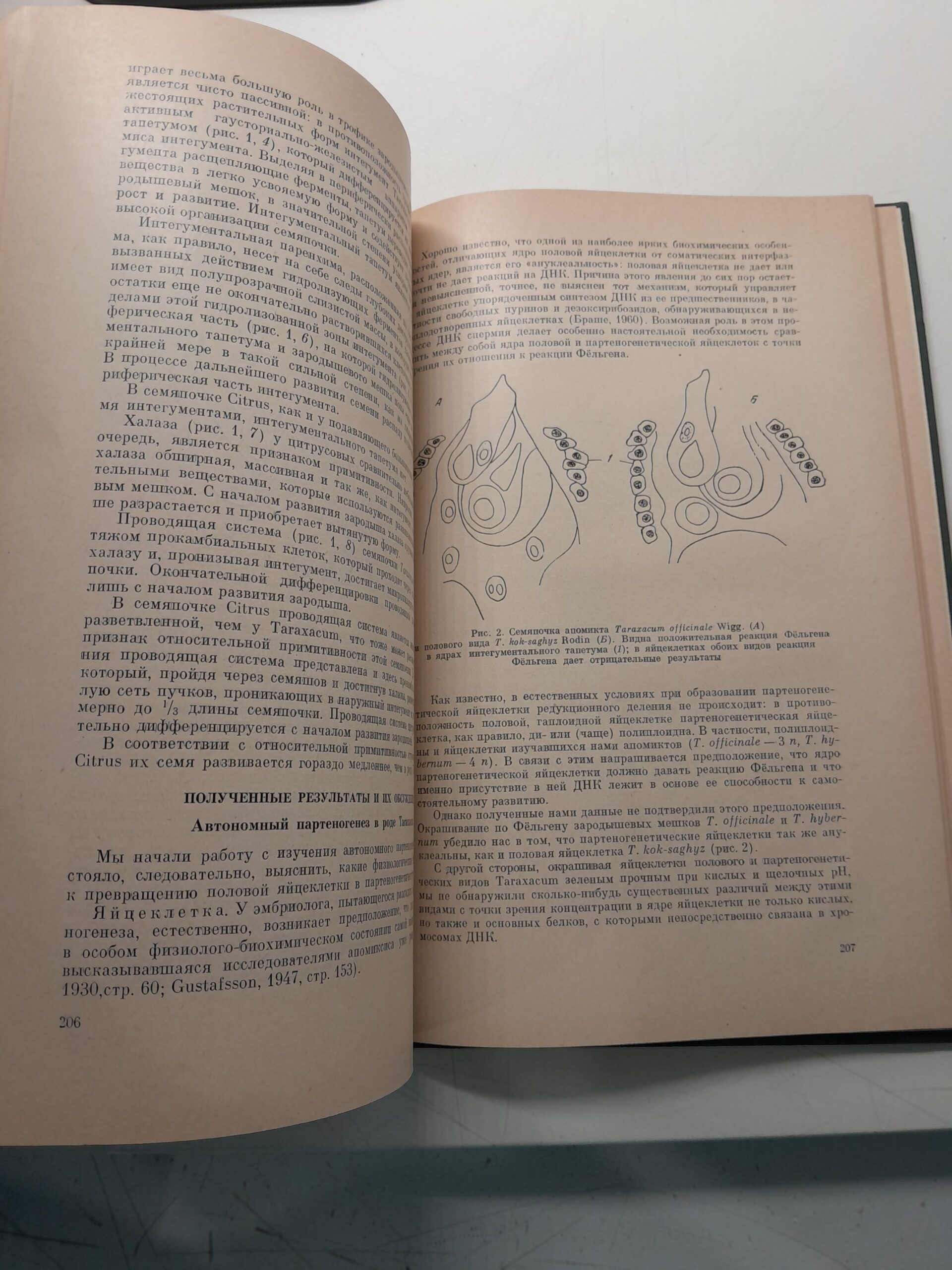 Проблемы филогении растений. Труды Московского общества испытателей природы — изображение 5