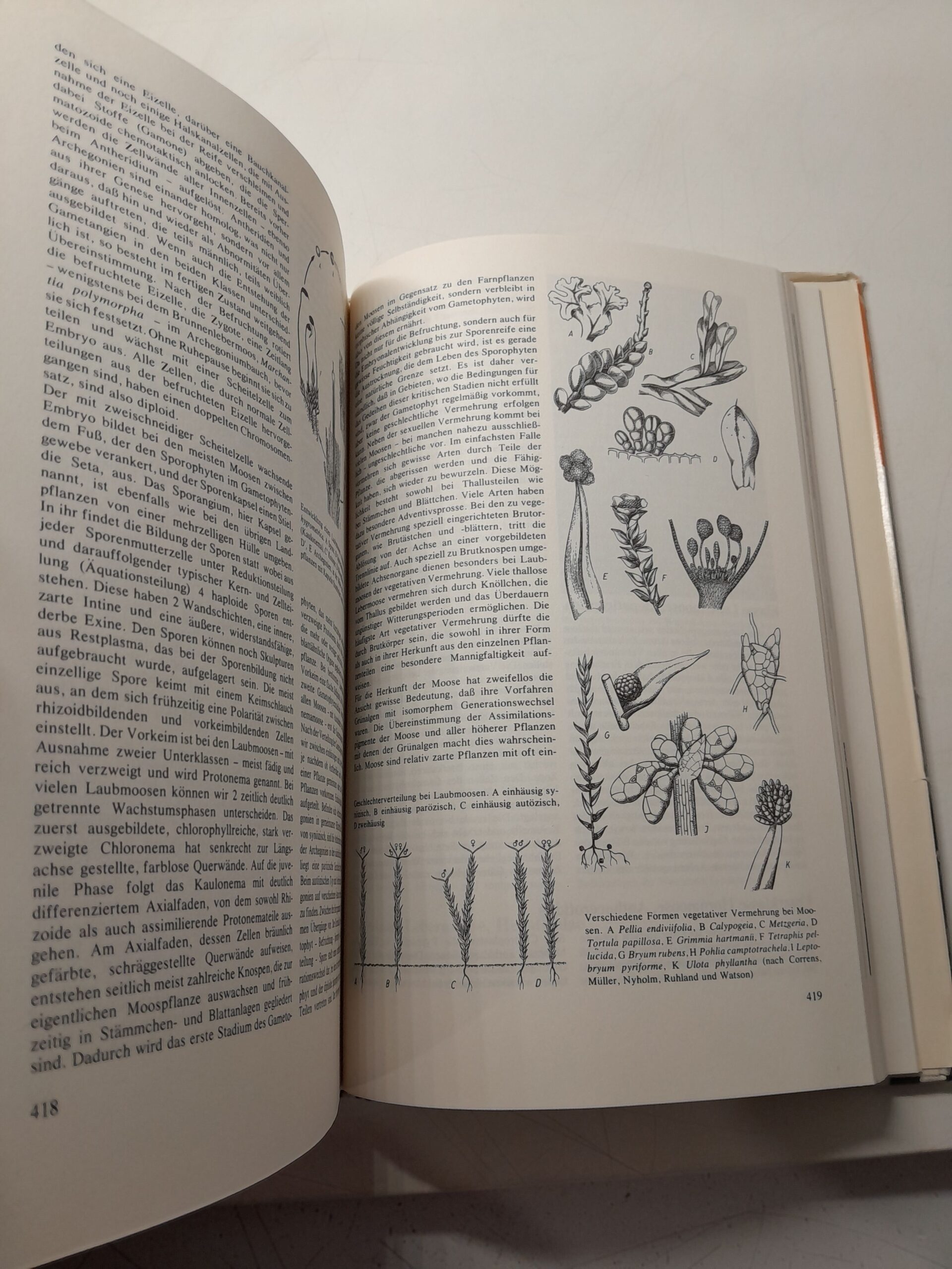 ЦАРСТВО РАСТЕНИЙ-УРАНИЯ: Нижние растения, Высокие растения 2, Высокие растения 1 ( 3 книги ) / URANIA PFLANZEN-REICH Niedere Pflanzen R here Pflanzen 2 H here Pflanzen 1 — изображение 4