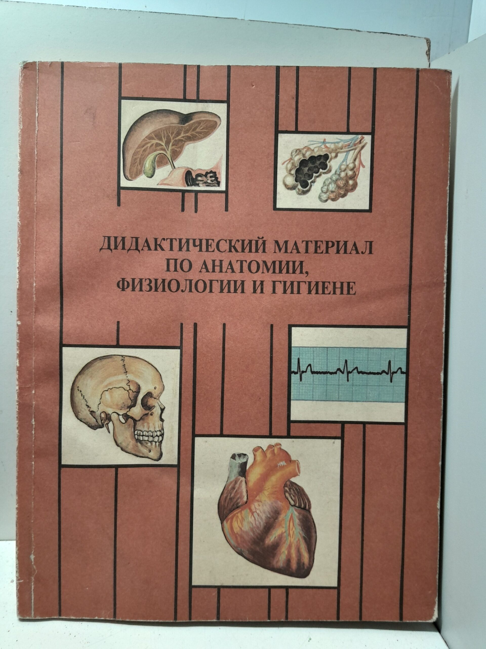 Дидактический материал по анатомии, физиологии и гигиене человека