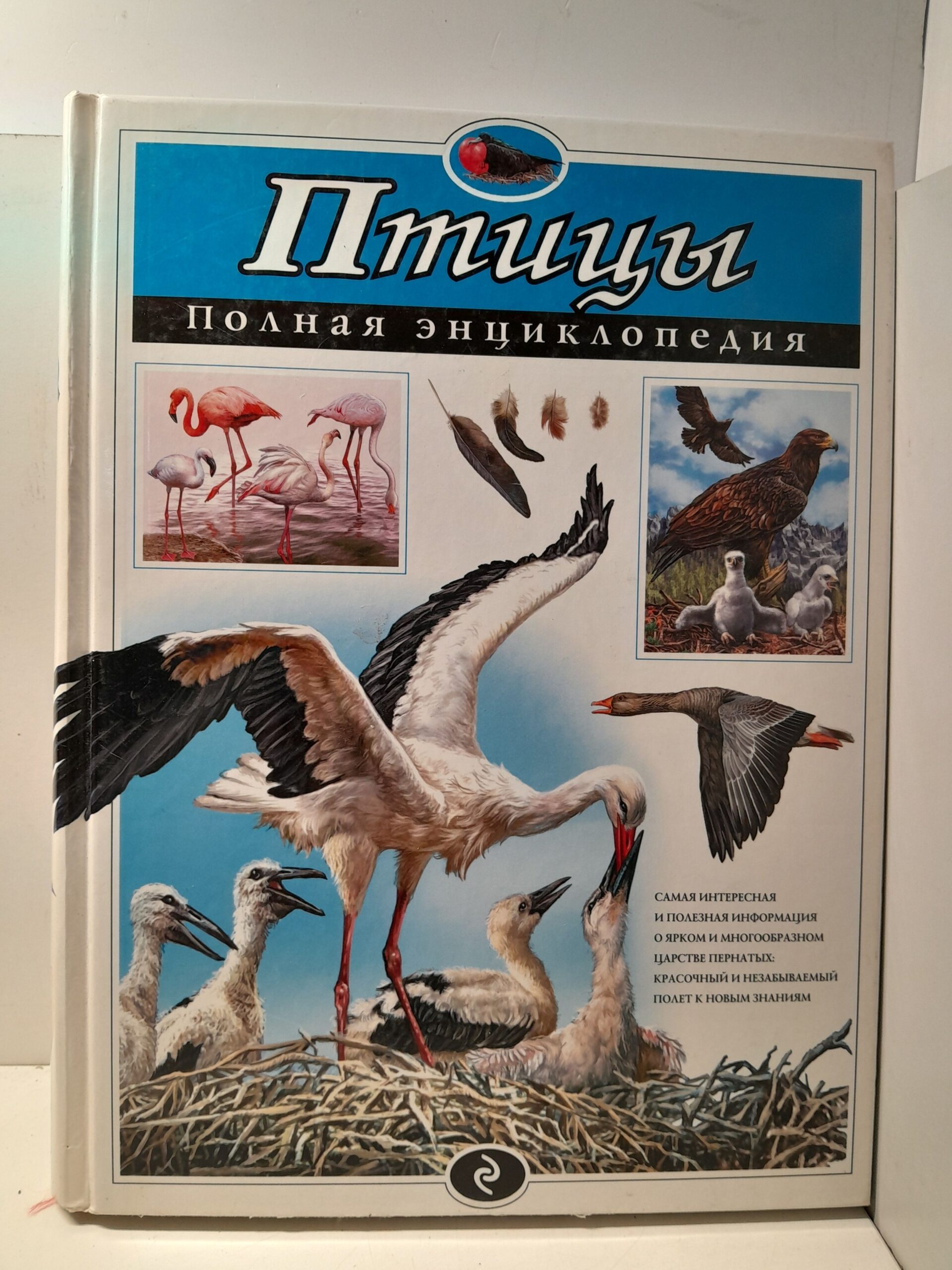 Птицы. Полная энциклопедия / Школьник Юлия