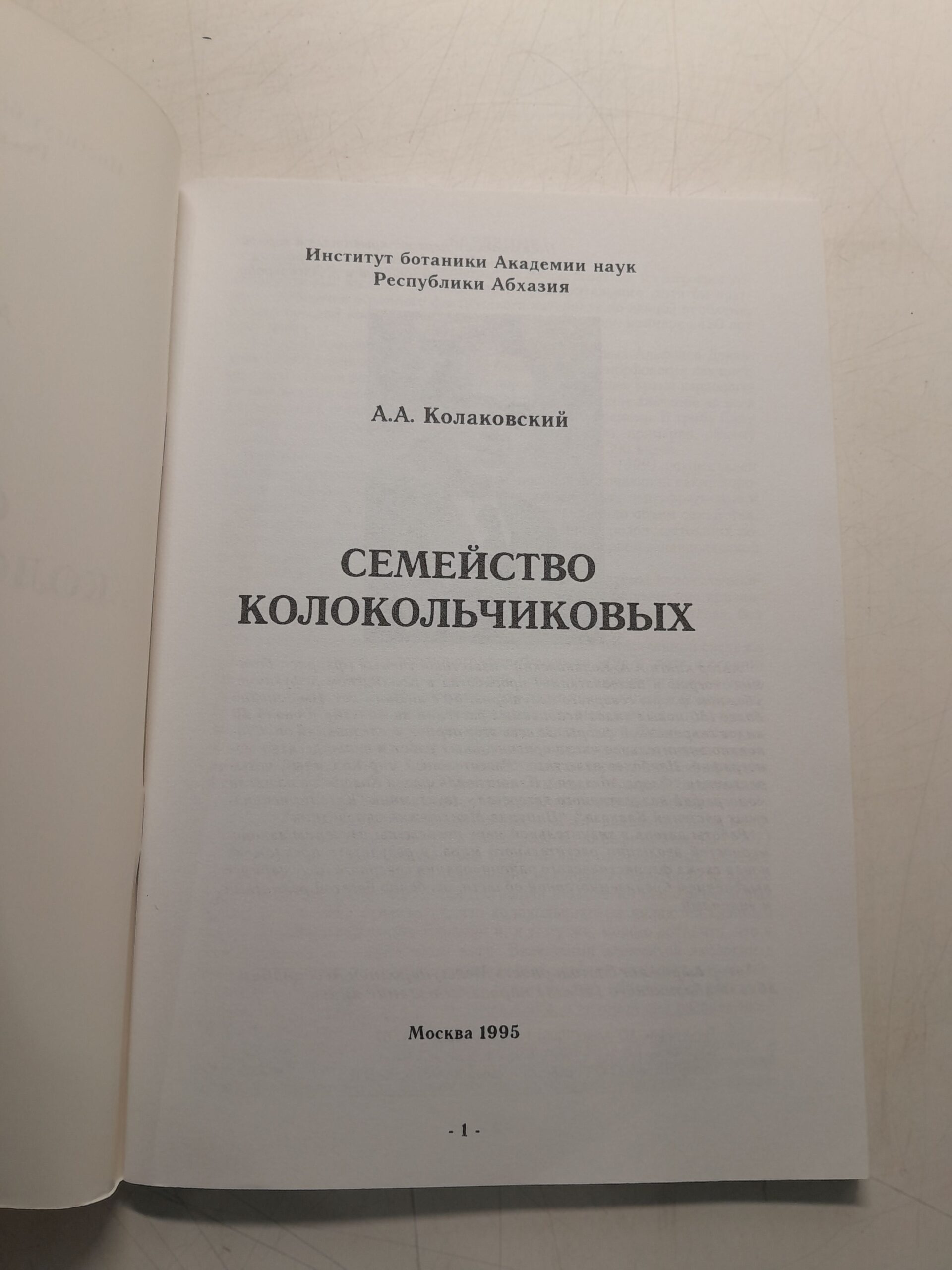 Семейство колокольчиковых / А.А. Колаковский — изображение 3