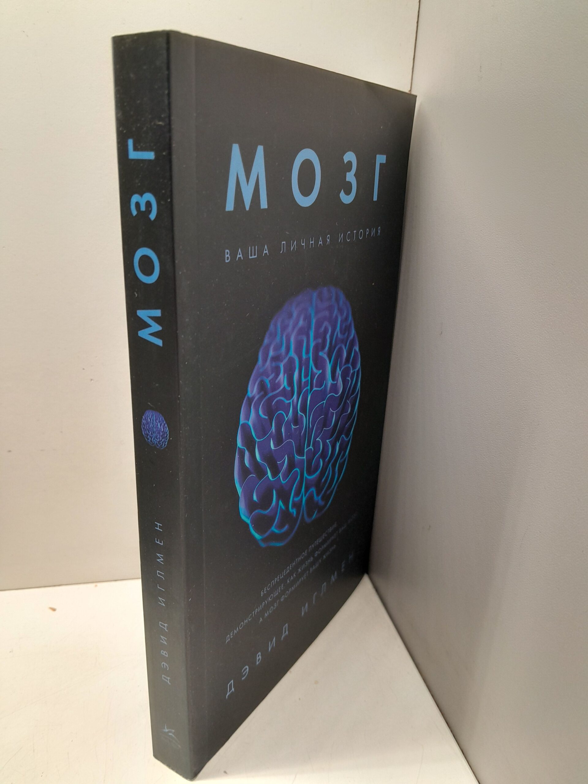 Мозг. Ваша личная история / Иглмен Дэвид — изображение 2