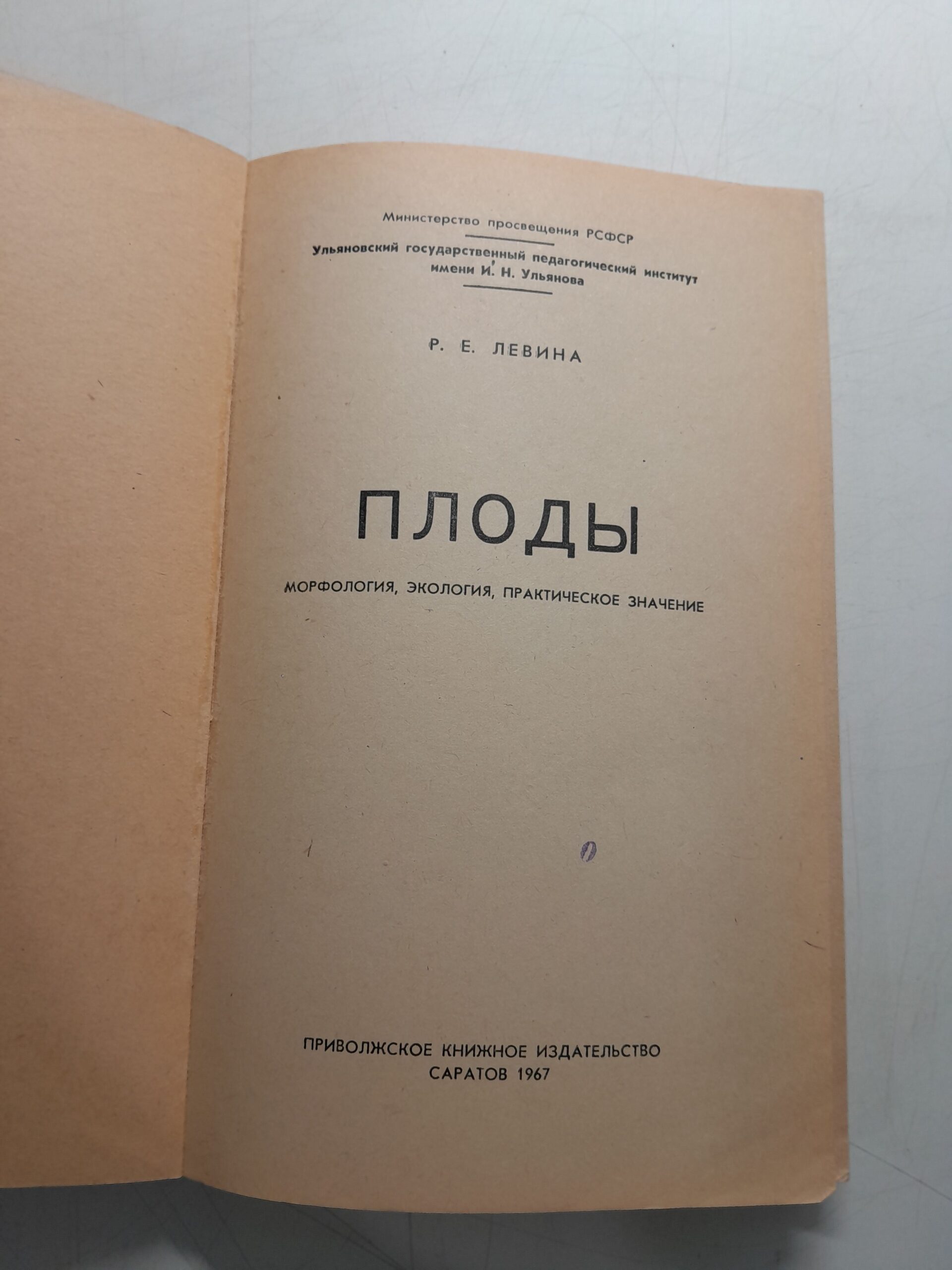 Плоды: морфология, экология, практическое значение / Р.Е. Левина — изображение 3