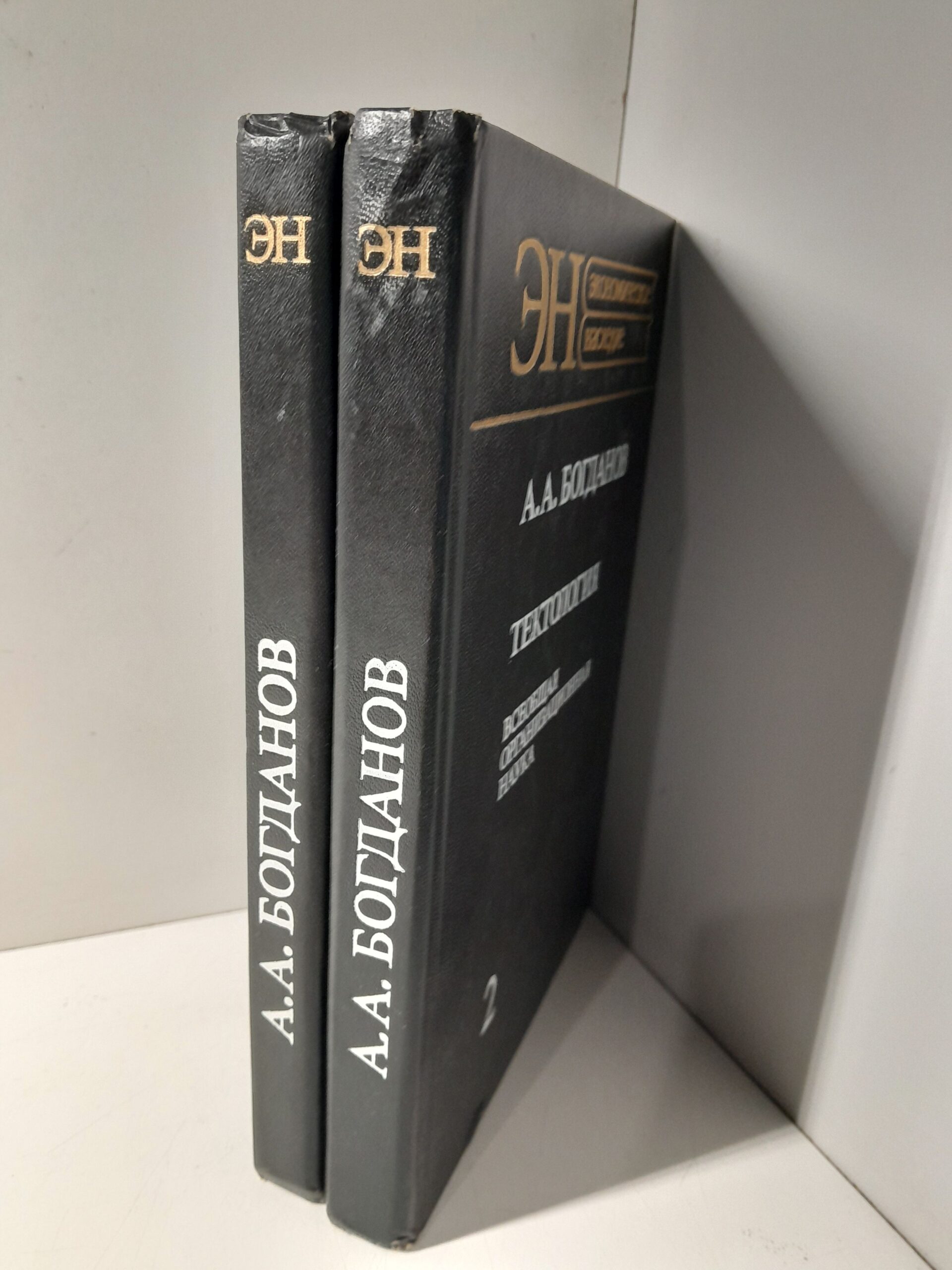 Тектология. Всеобщая организационная наука в 2 книгах / А.А. Богданов — изображение 2