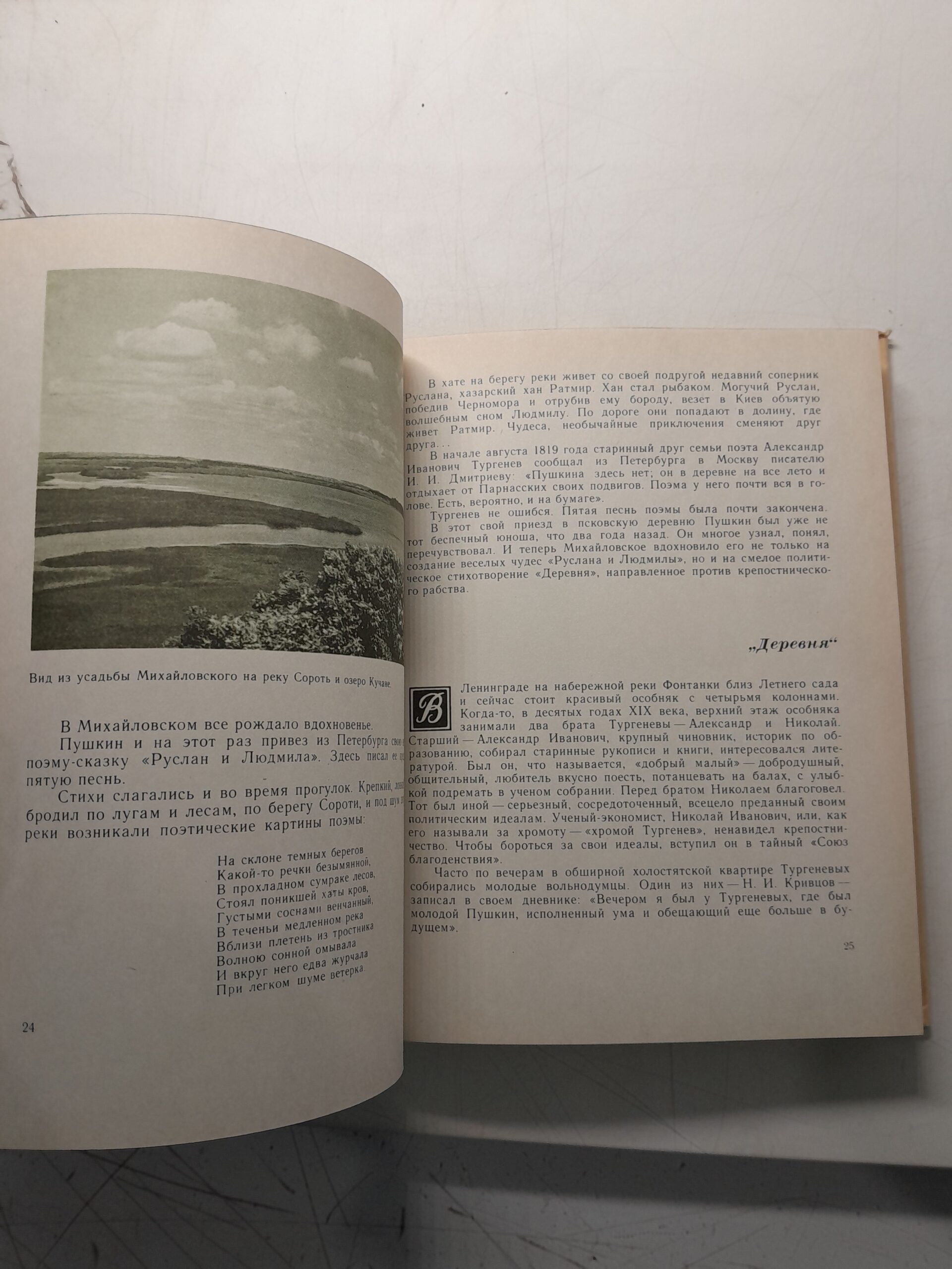 М. Басина / Петербургская повесть. На берегах Невы. Там, где шумят Михайловские рощи ( 3 книги ) — изображение 8
