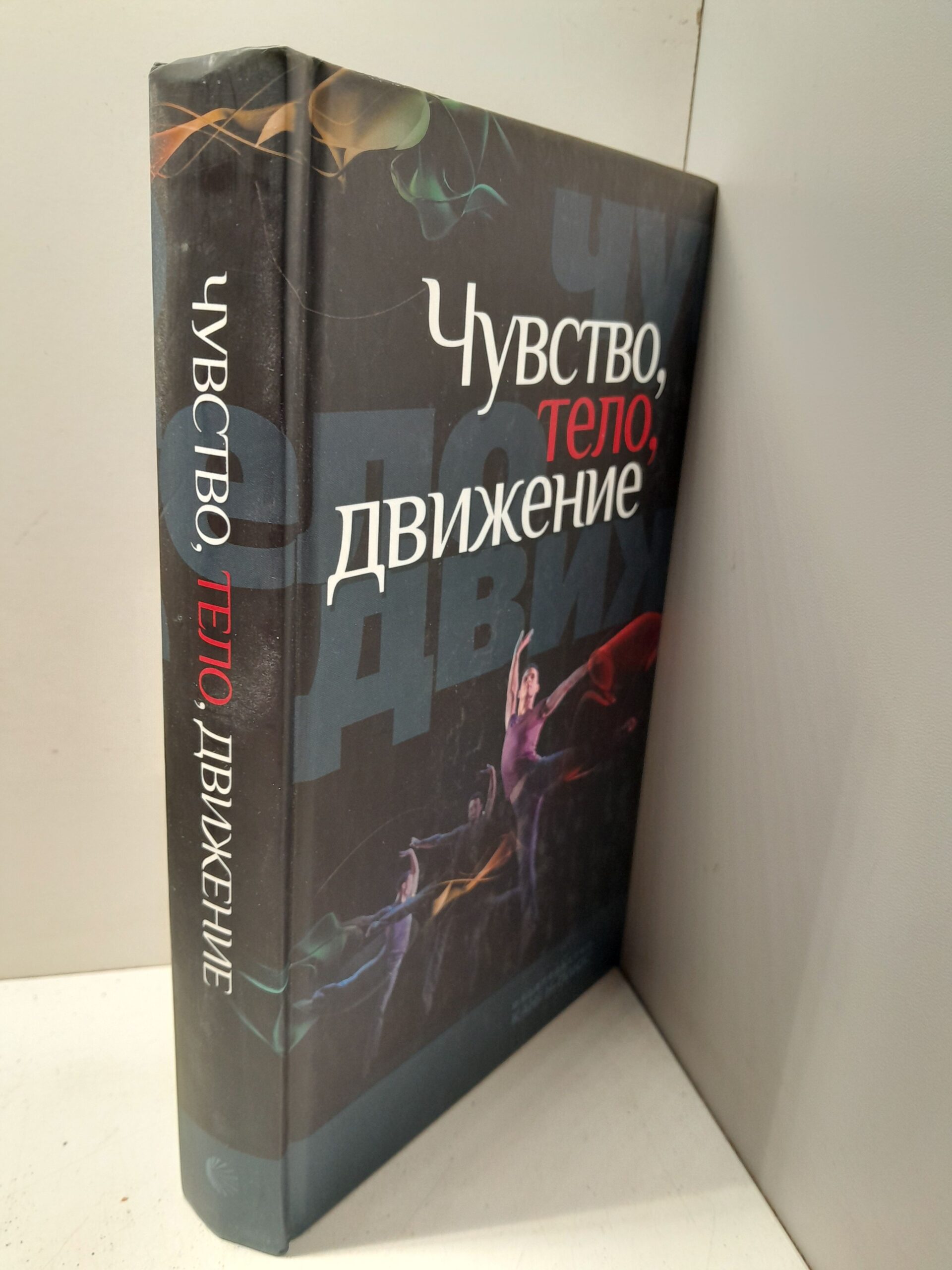 Чувство, тело, движение / Кристоф Вульфа, Валерий Савчук — изображение 2