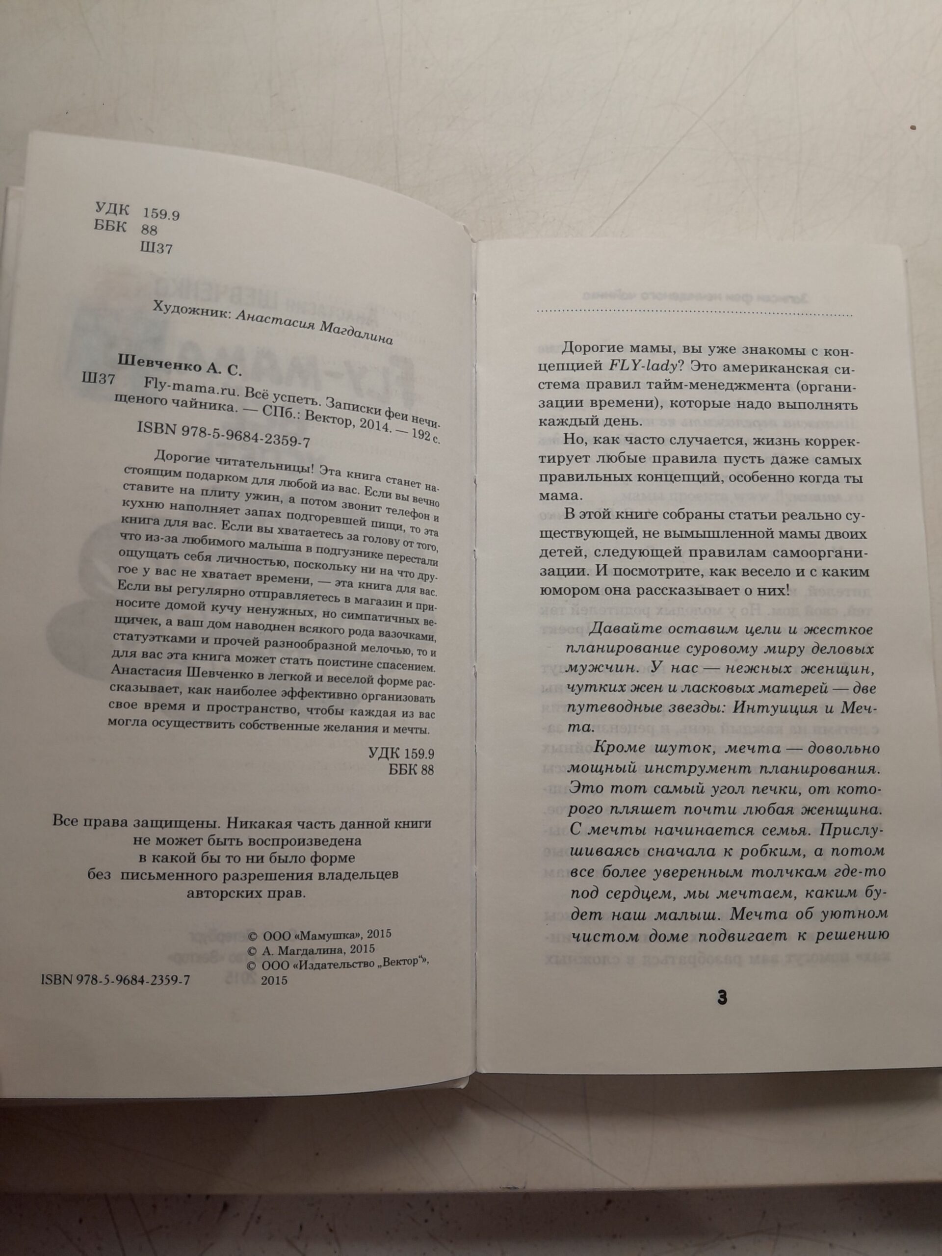 Шевченко А. / Fly-mama. Все успеть. Записки феи нечищенного чайника — изображение 3