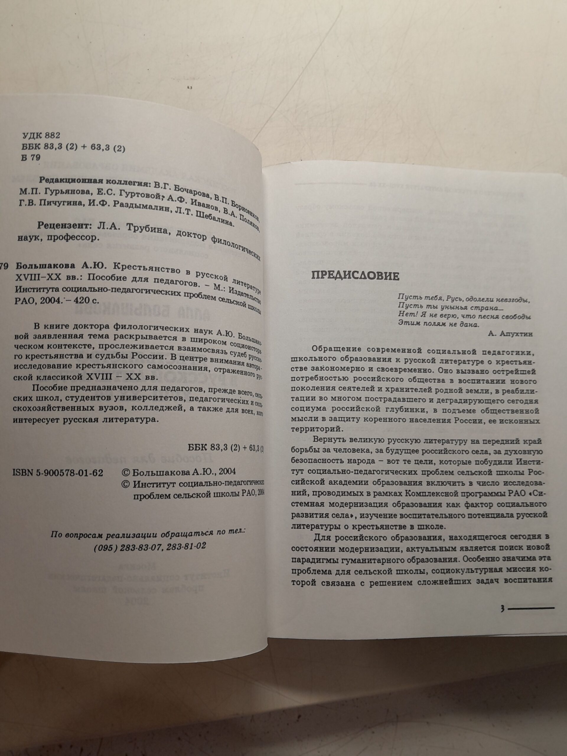 Крестьянство в русской литературе XVIII-XX / А.Ю. Большакова — изображение 3