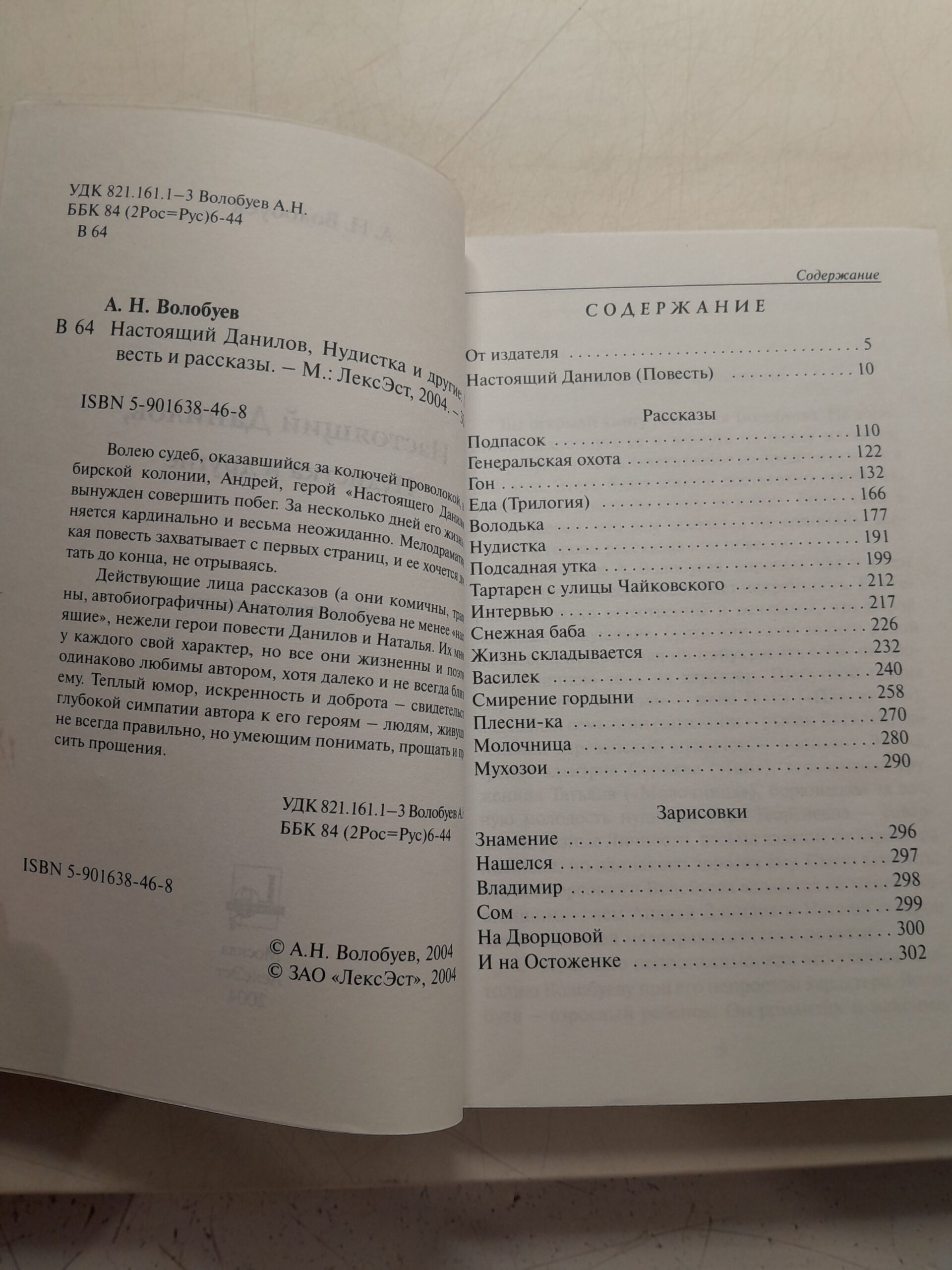 Настоящий Данилов, Нудистка и другие / А. Волобуев — изображение 3