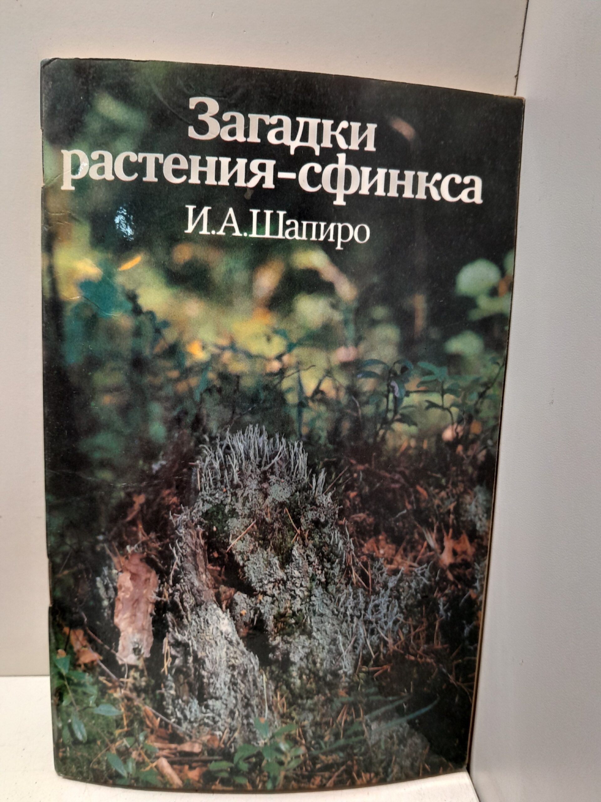 Шапиро И.А. / Загадки растения-сфинкса. Лишайники и экологический мониторинг