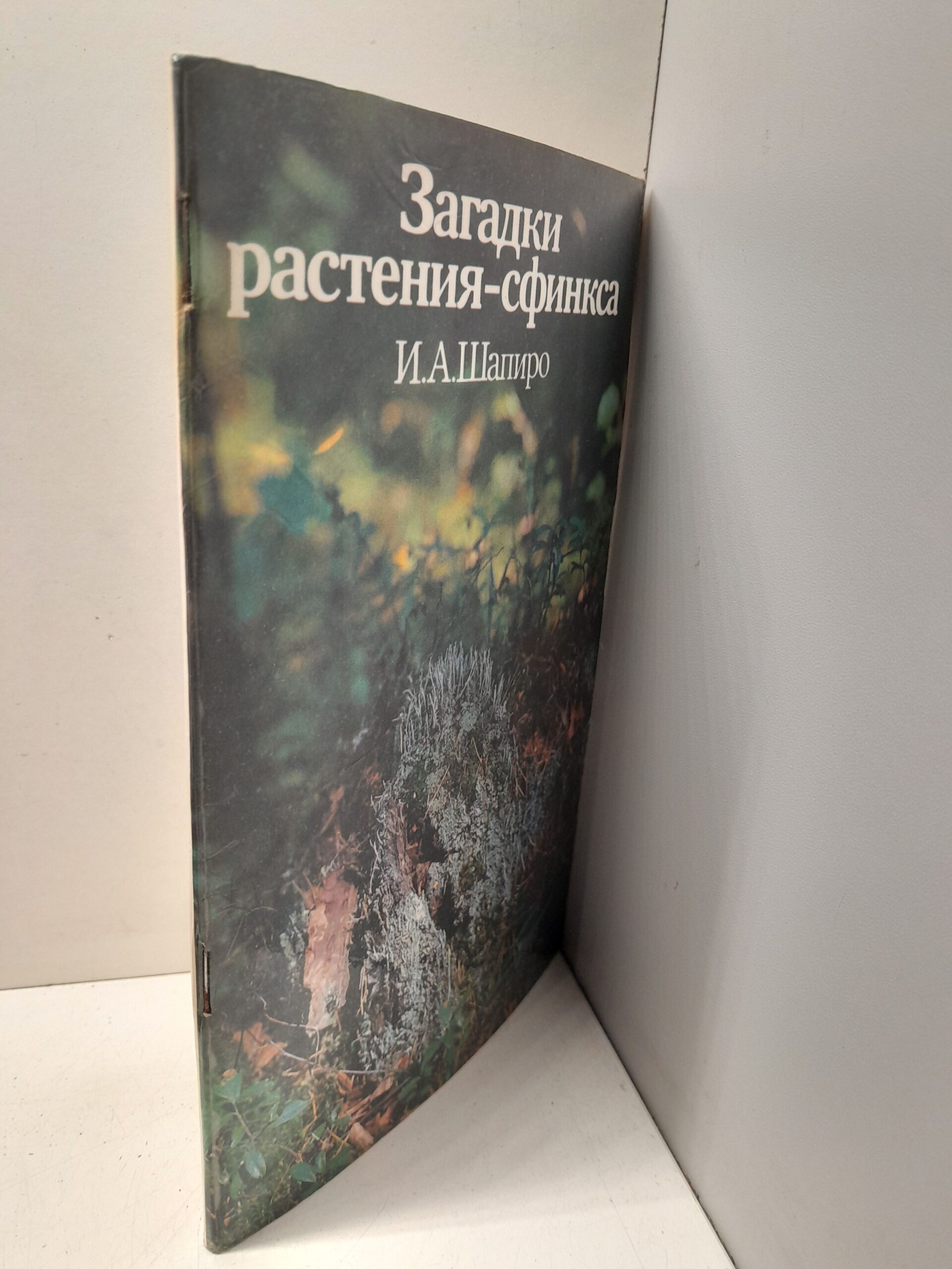 Шапиро И.А. / Загадки растения-сфинкса. Лишайники и экологический мониторинг — изображение 2