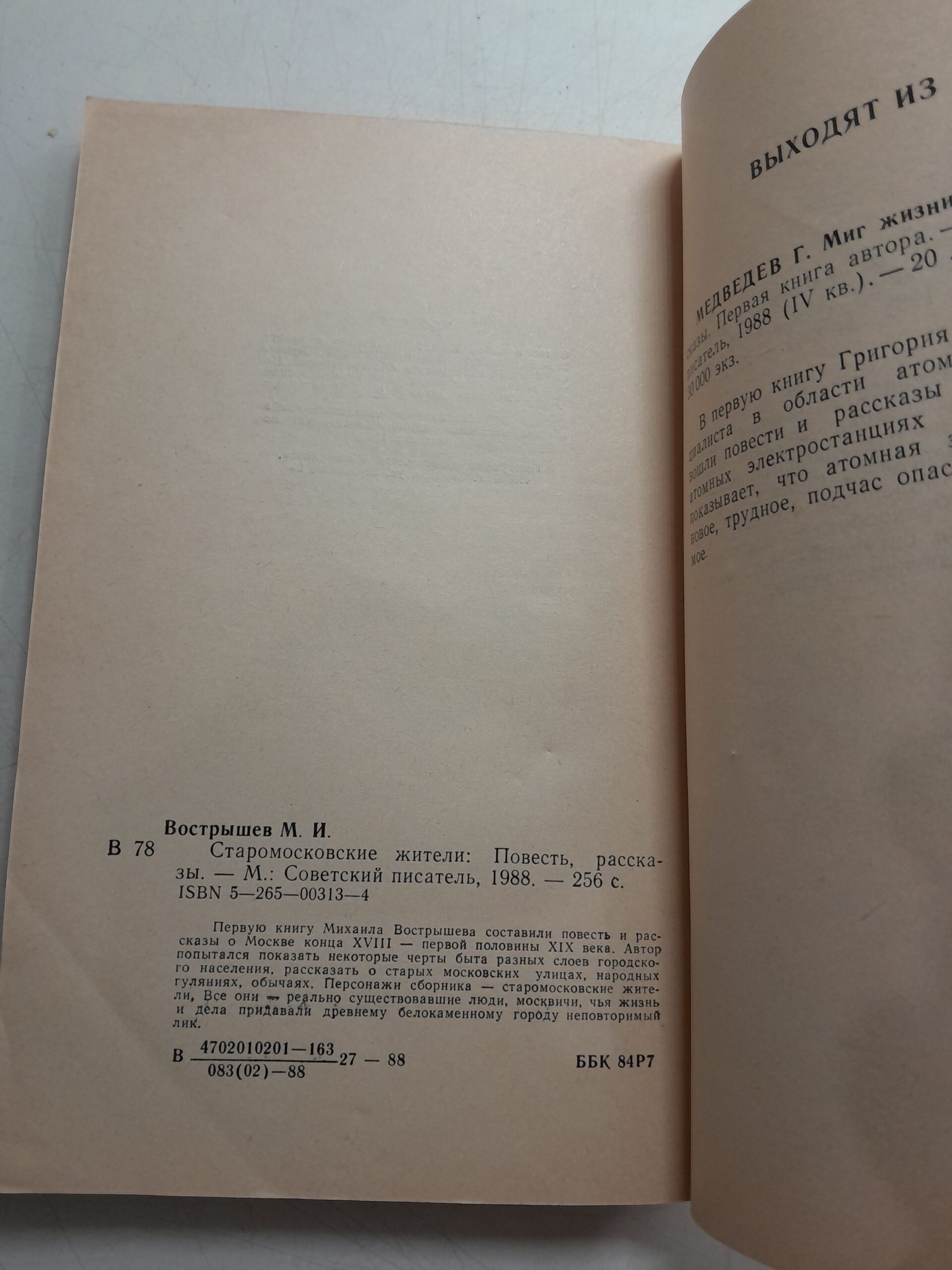 Старомосковские жители / Вострышев Михаил — изображение 3