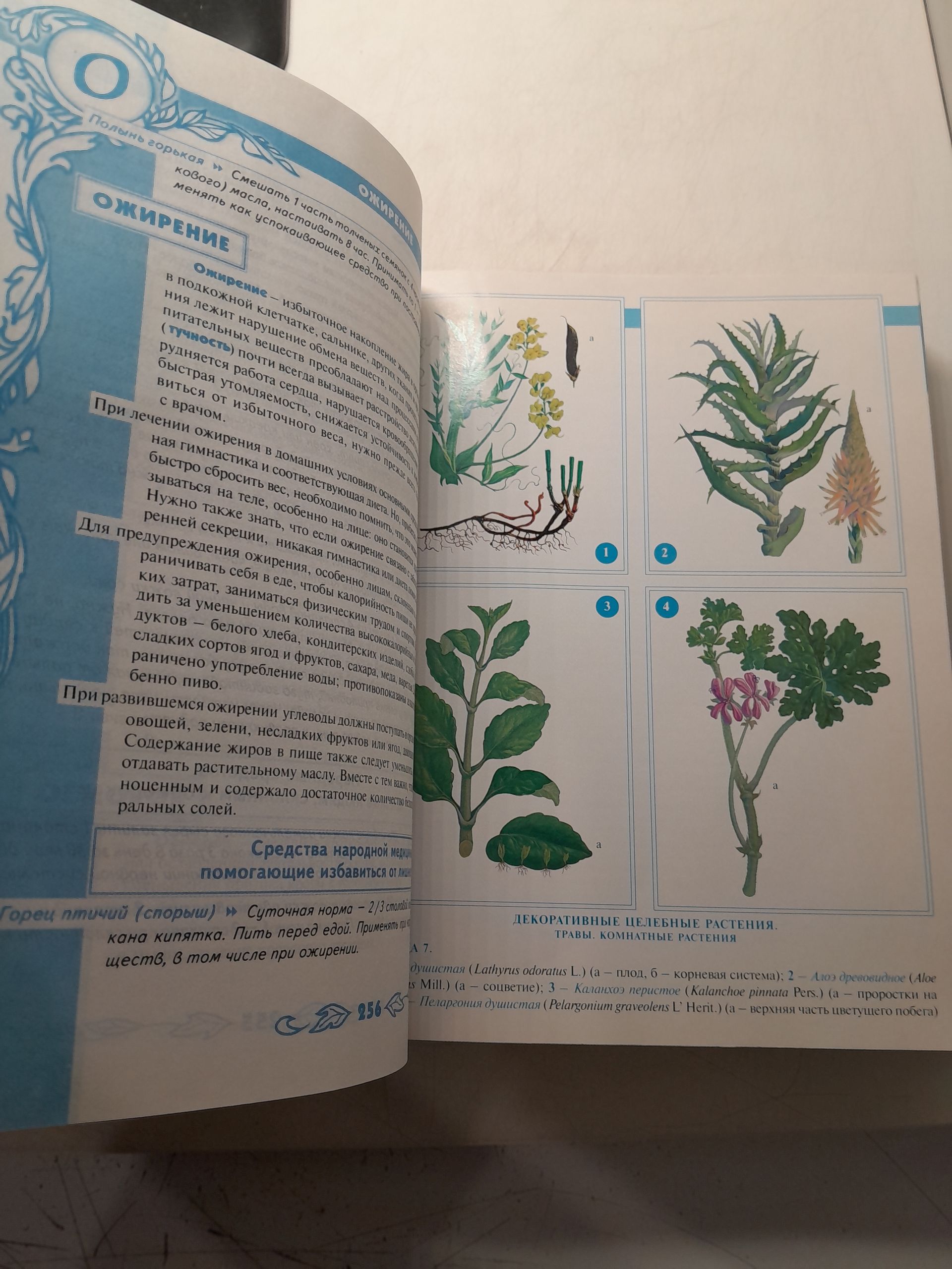 Большая энциклопедия народной медицины / Непокойчицкий Геннадий, Чумакова Раиса — изображение 6