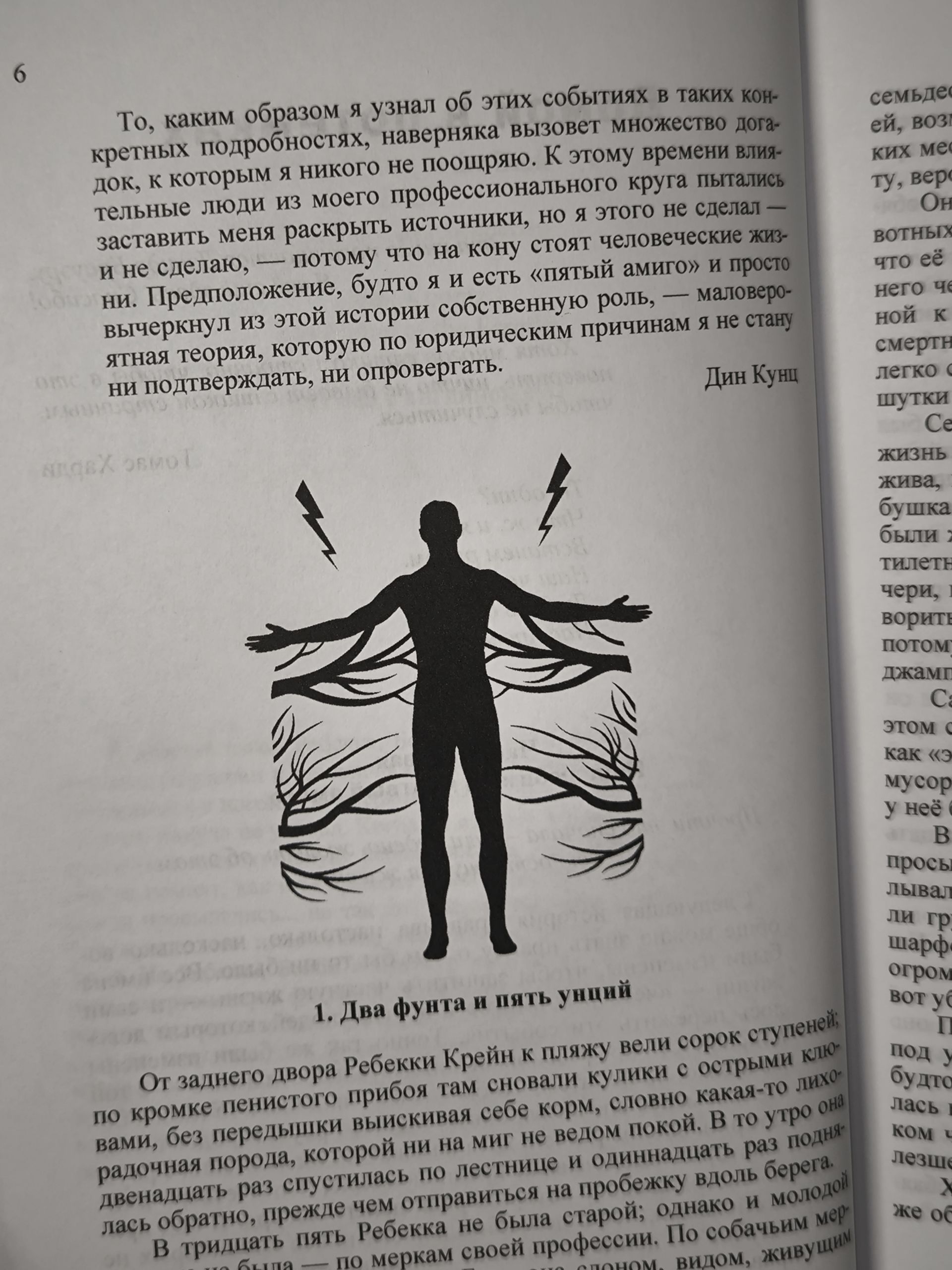 Комплект из 8 книг: Кривая лестница. Запретная дверь. Ночное окно. Другая Эмили. Оборотень среди нас. Кровавый риск. Большое тёмное небо. Киксильвер Друг в ненастье. Лес заблудших душ. Дом на краю света — изображение 30